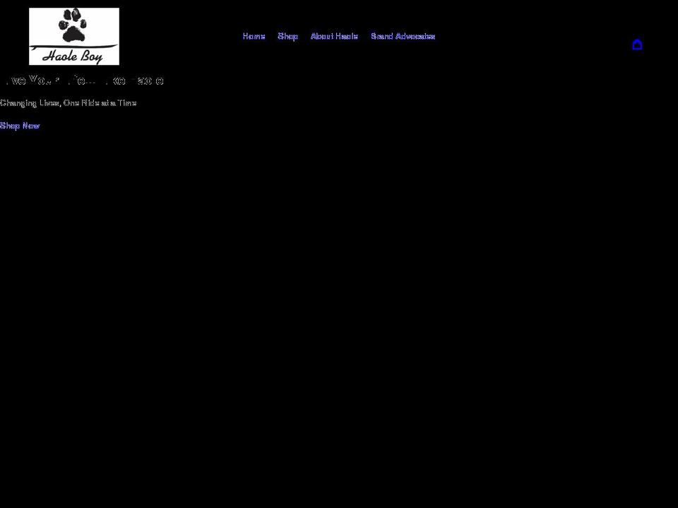 haoleboylife.com shopify website screenshot