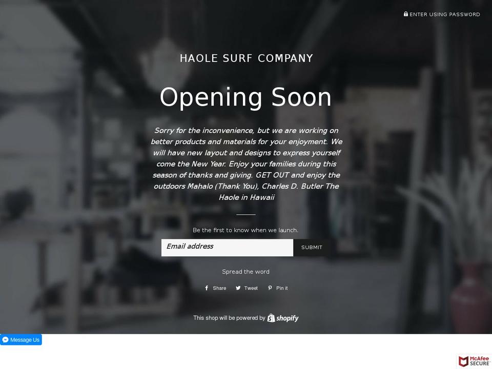 haolesurf.com — Shopify storefront screenshot