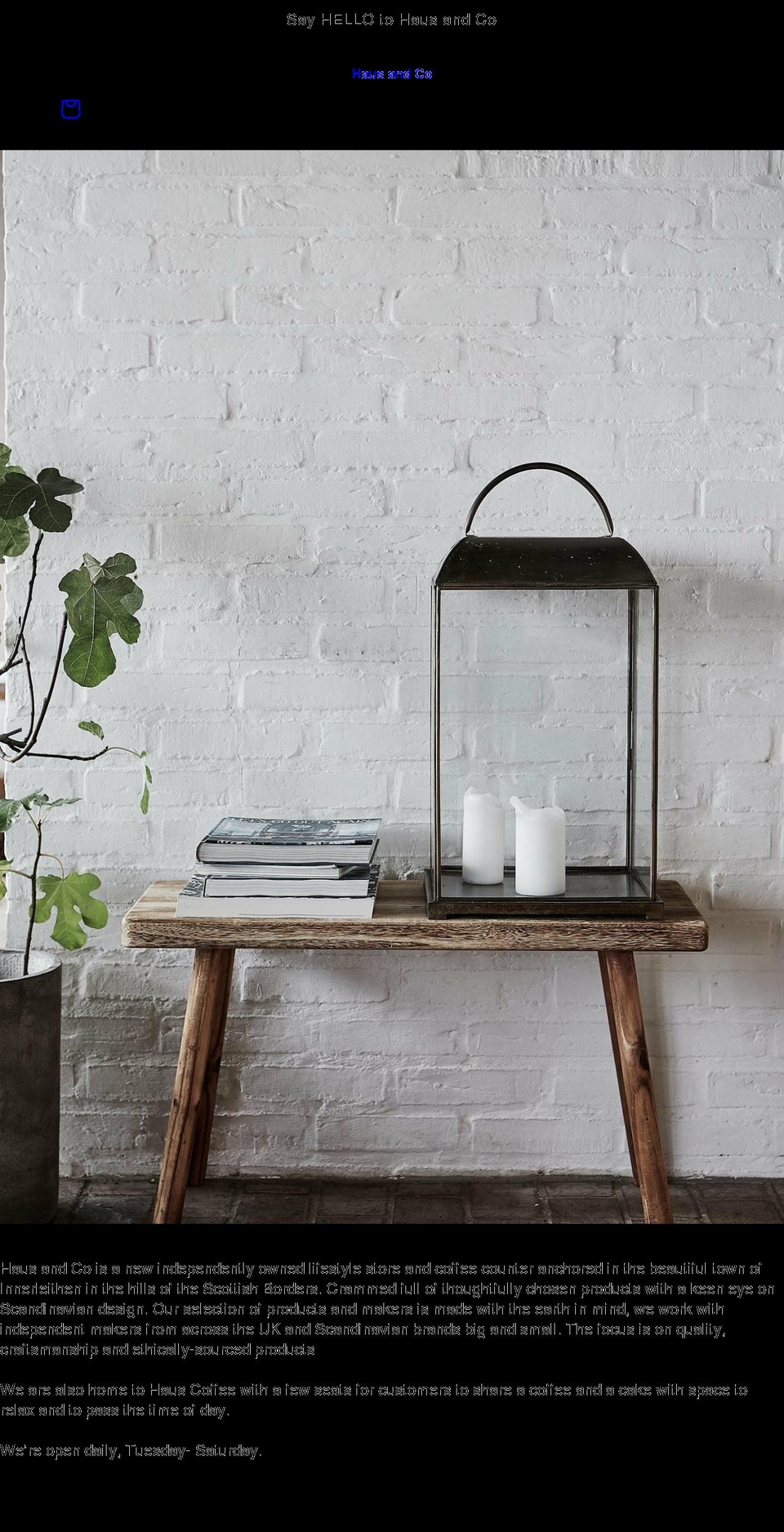 hausandco.co.uk shopify website screenshot