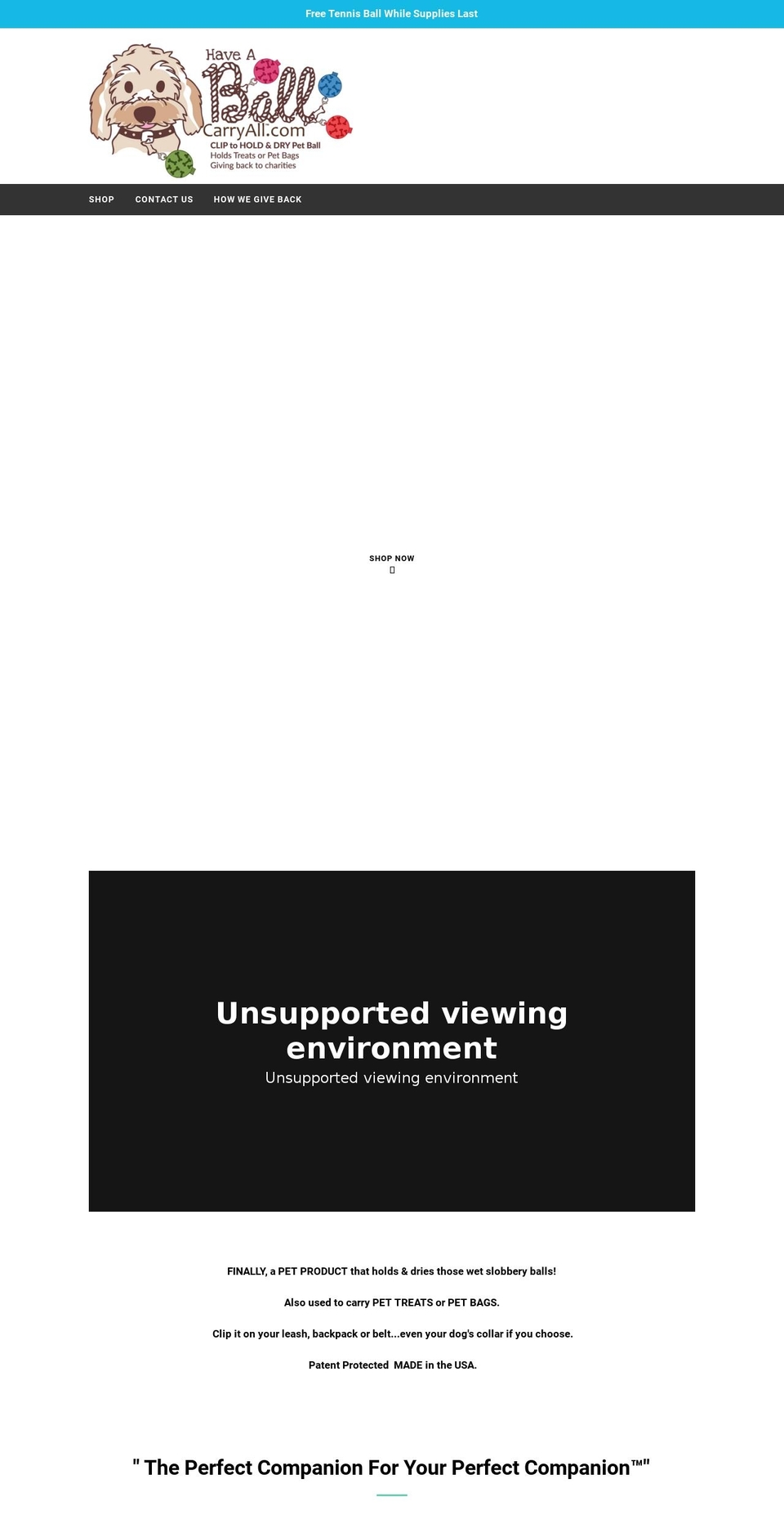 haveaballcarryall.com — Shopify storefront screenshot