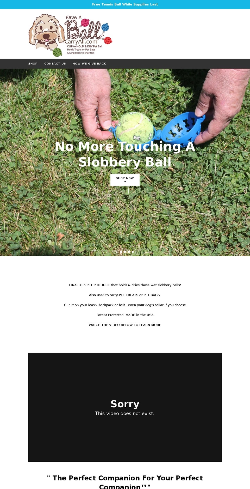 haveaballgivingback.org shopify website screenshot