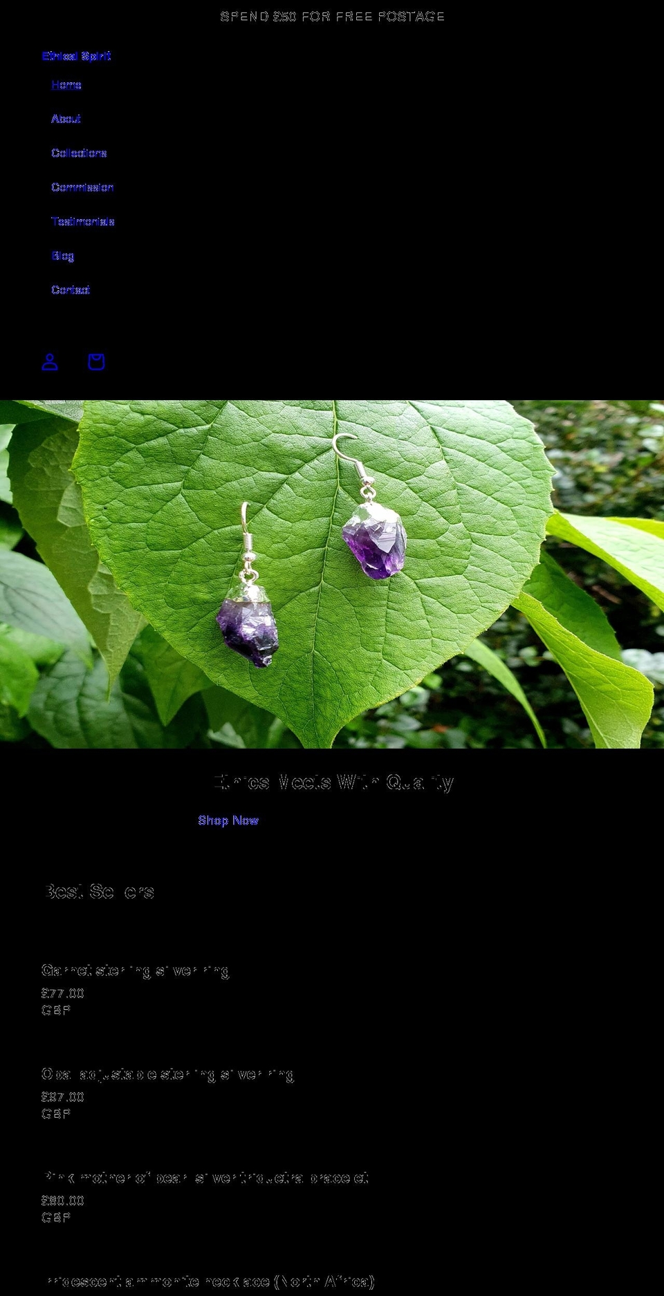 hayleydl.org shopify website screenshot