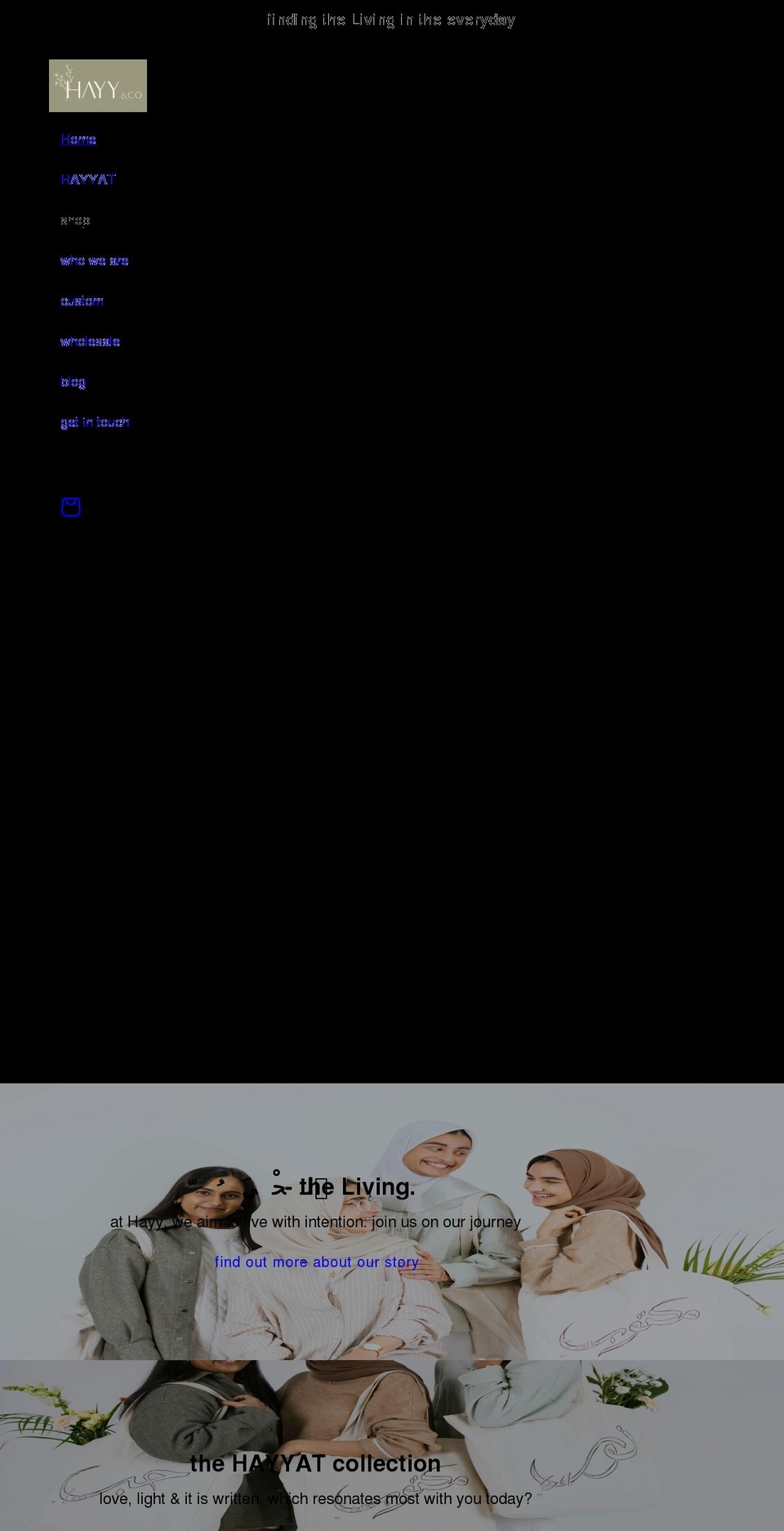 hayyandco.com shopify website screenshot