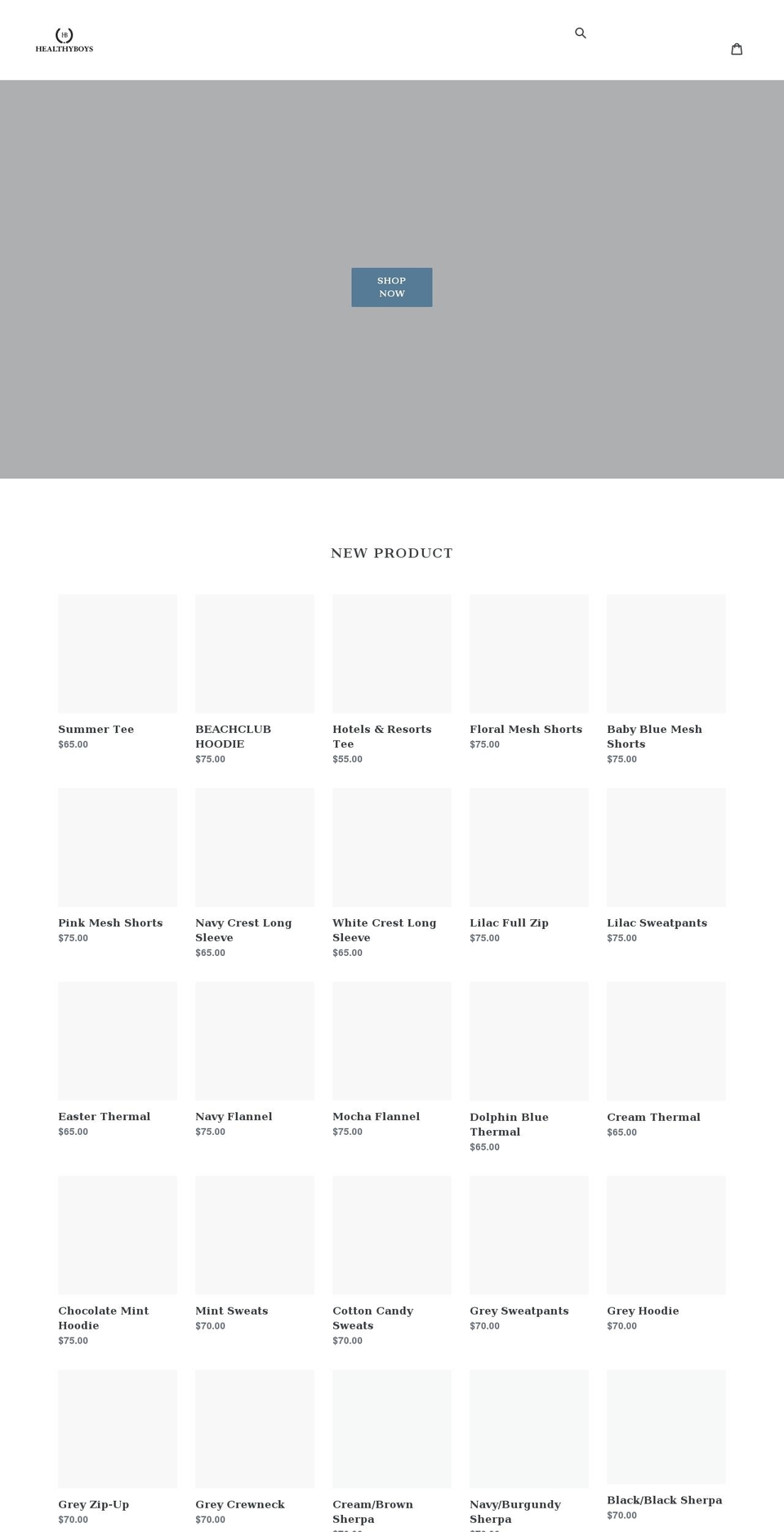 healthyboysco.com shopify website screenshot