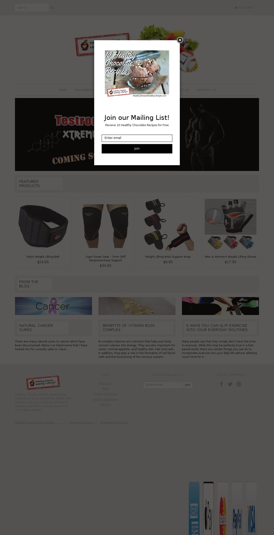 healthychoiceshealthylifestyle.com shopify website screenshot