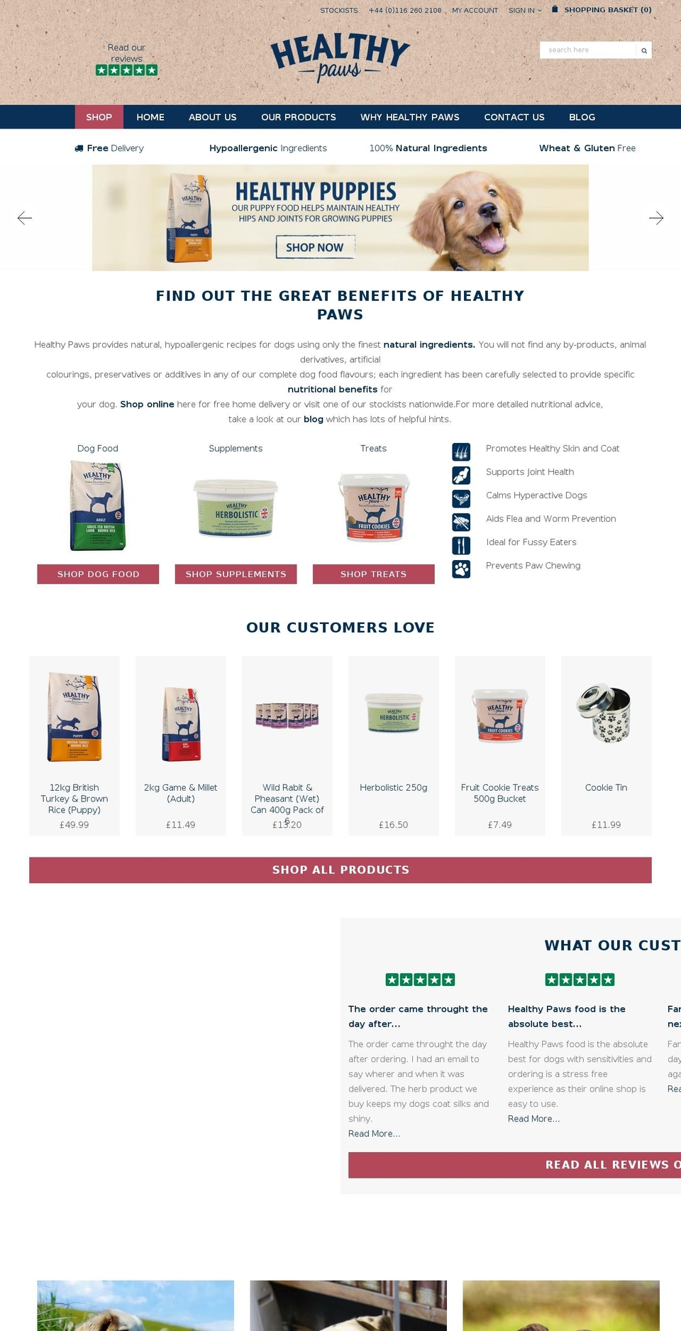 healthypaws.co.uk shopify website screenshot