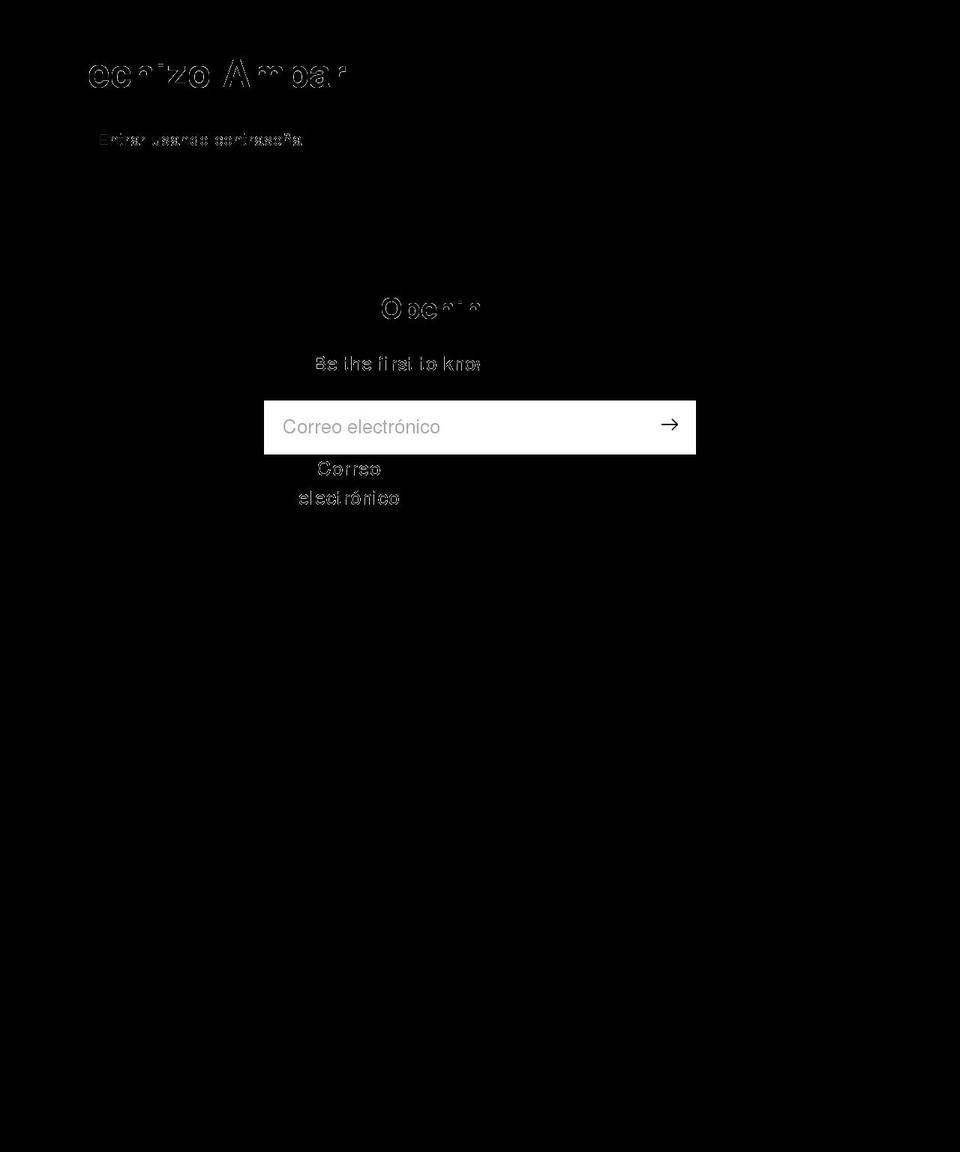 hechizoambar.com shopify website screenshot