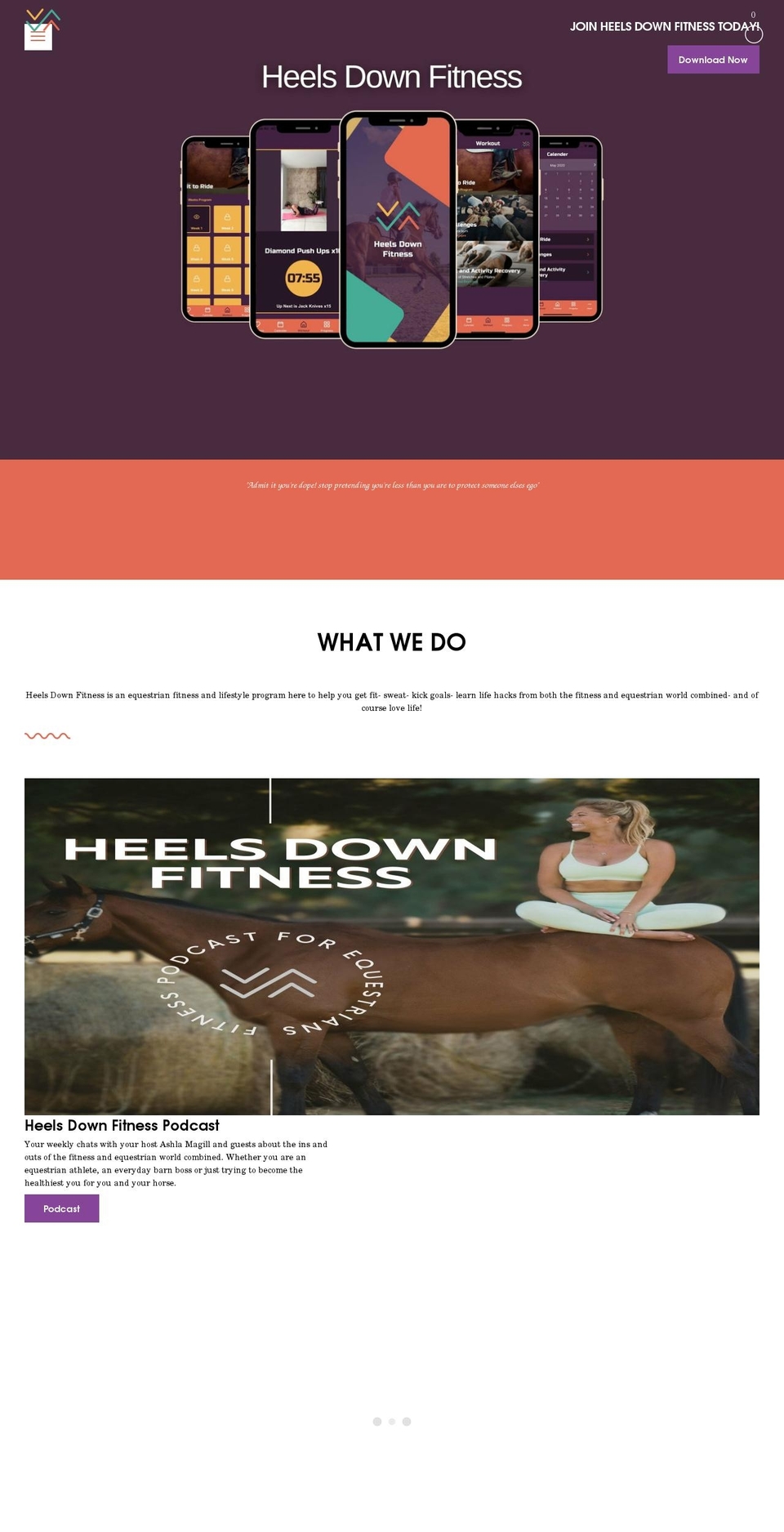 heels-down-fitness.myshopify.com shopify website screenshot
