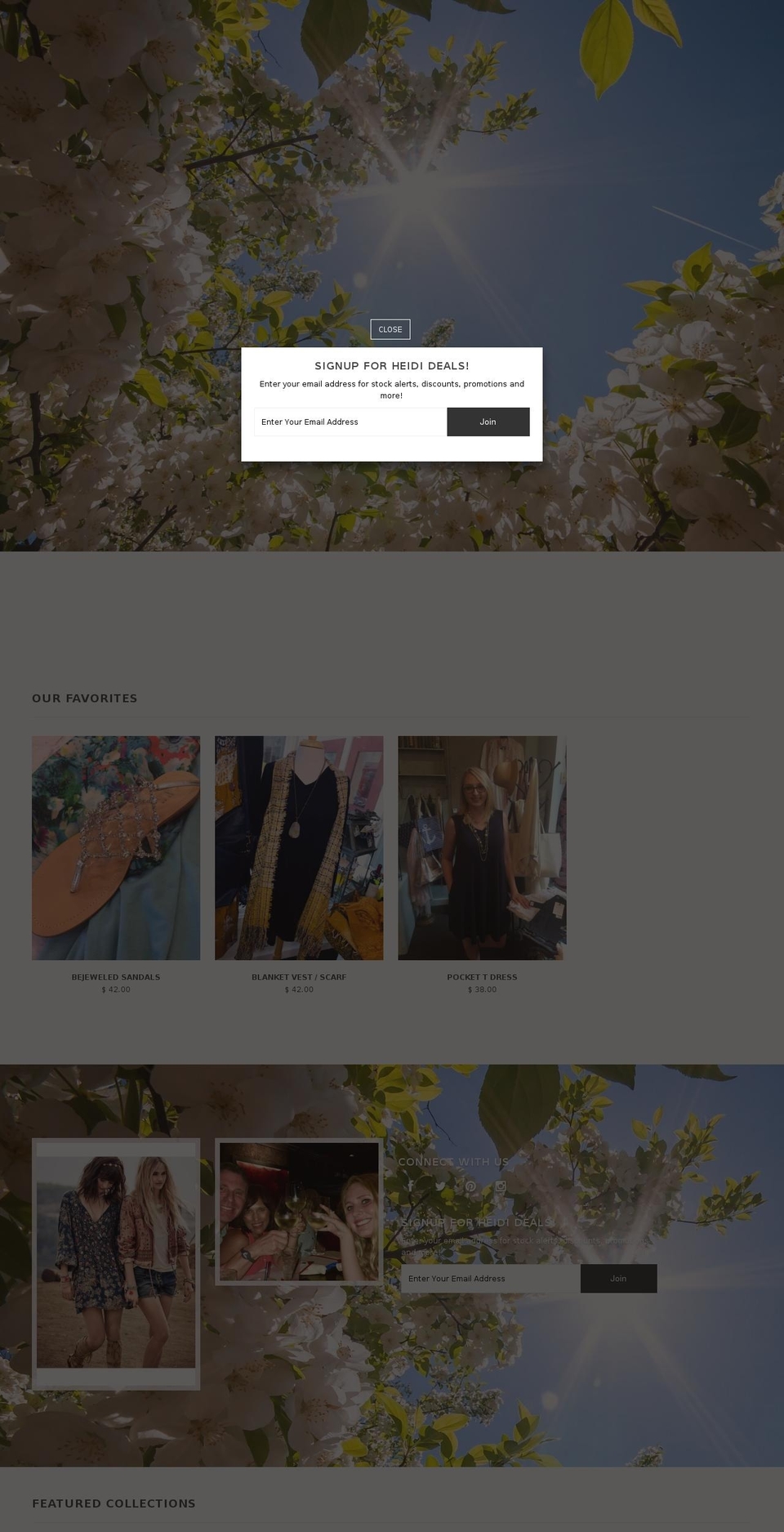 heididylan.com — Shopify storefront screenshot