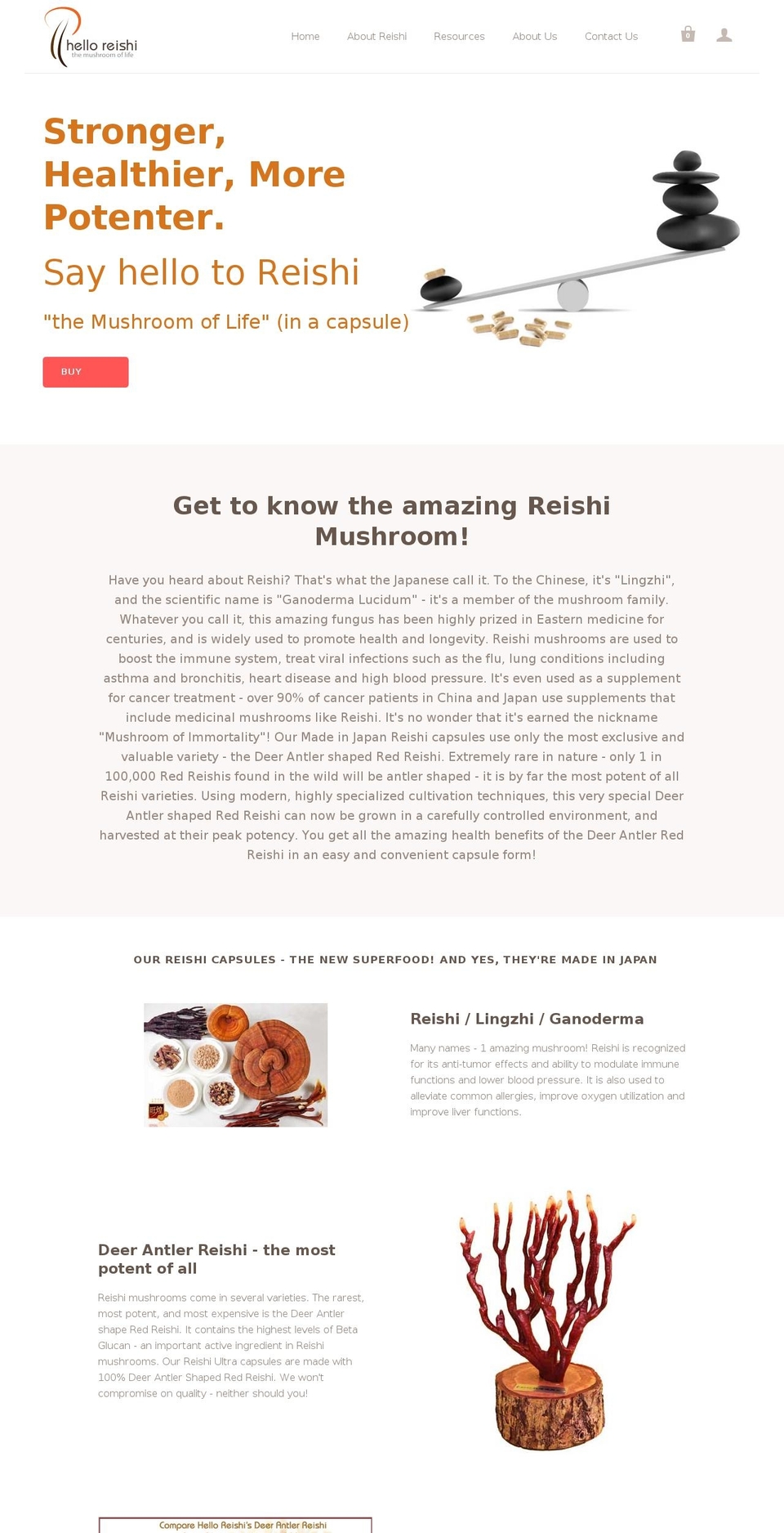helloreishi.com — Shopify storefront screenshot