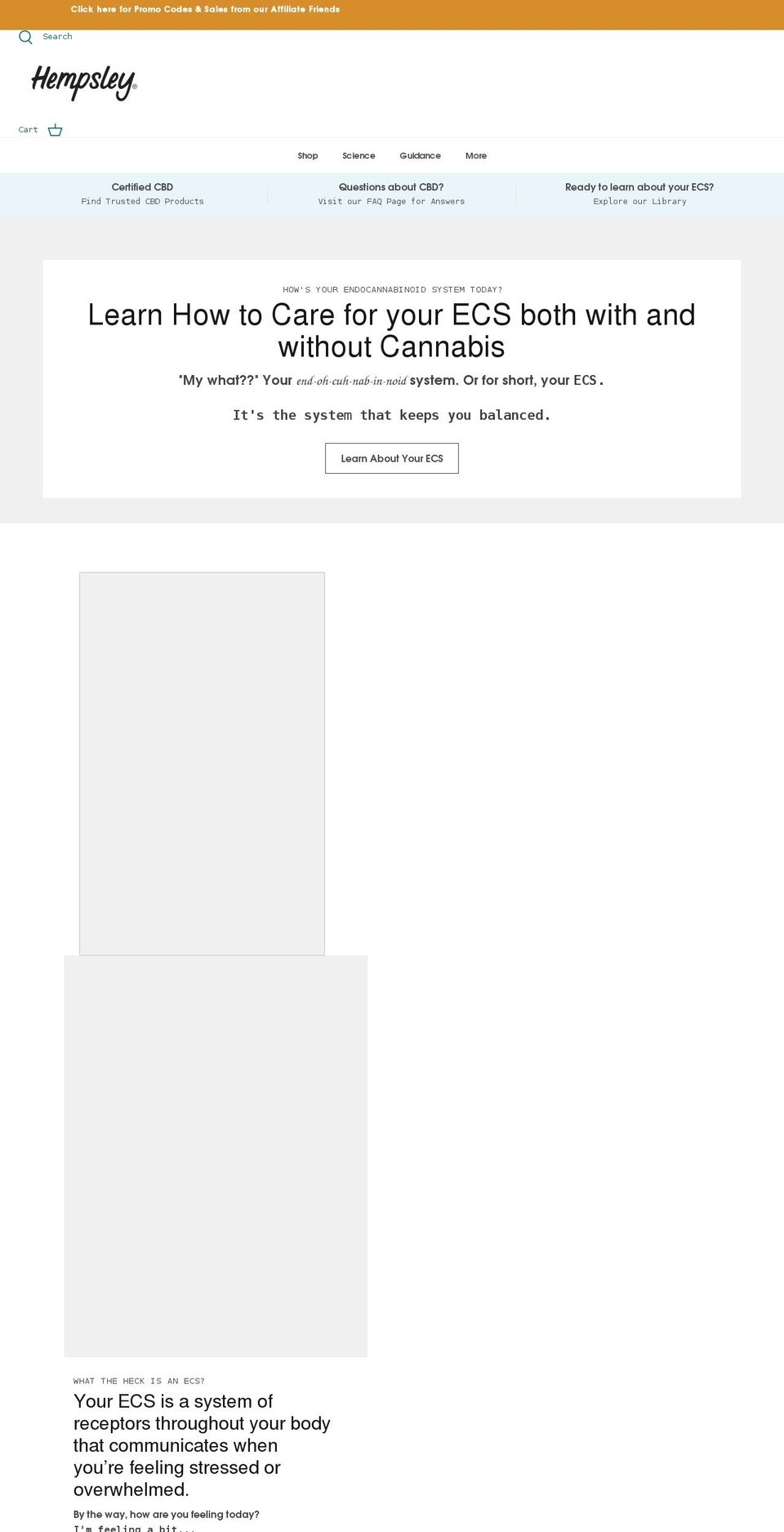 hempsley.com shopify website screenshot