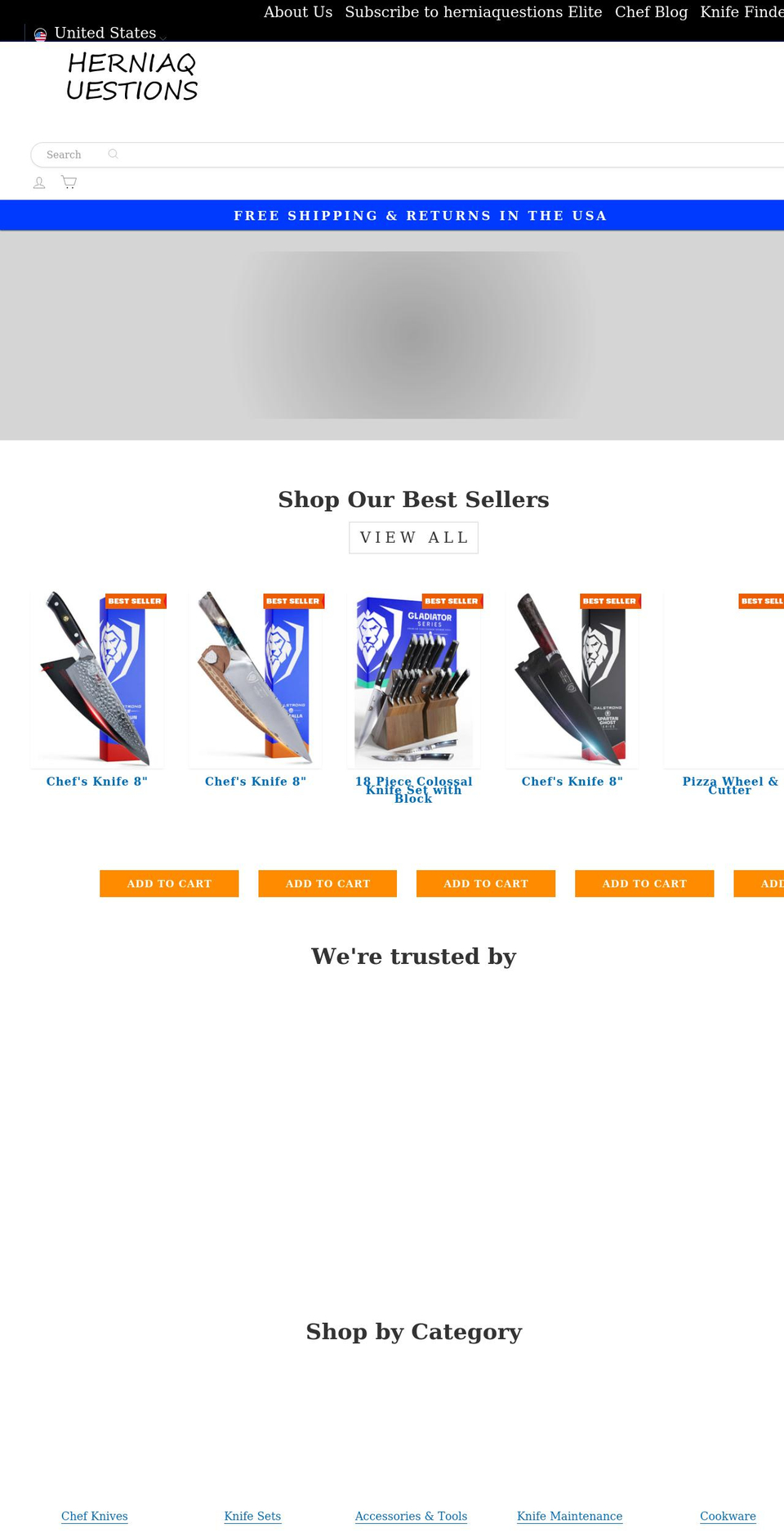 herniaquestions.com shopify website screenshot