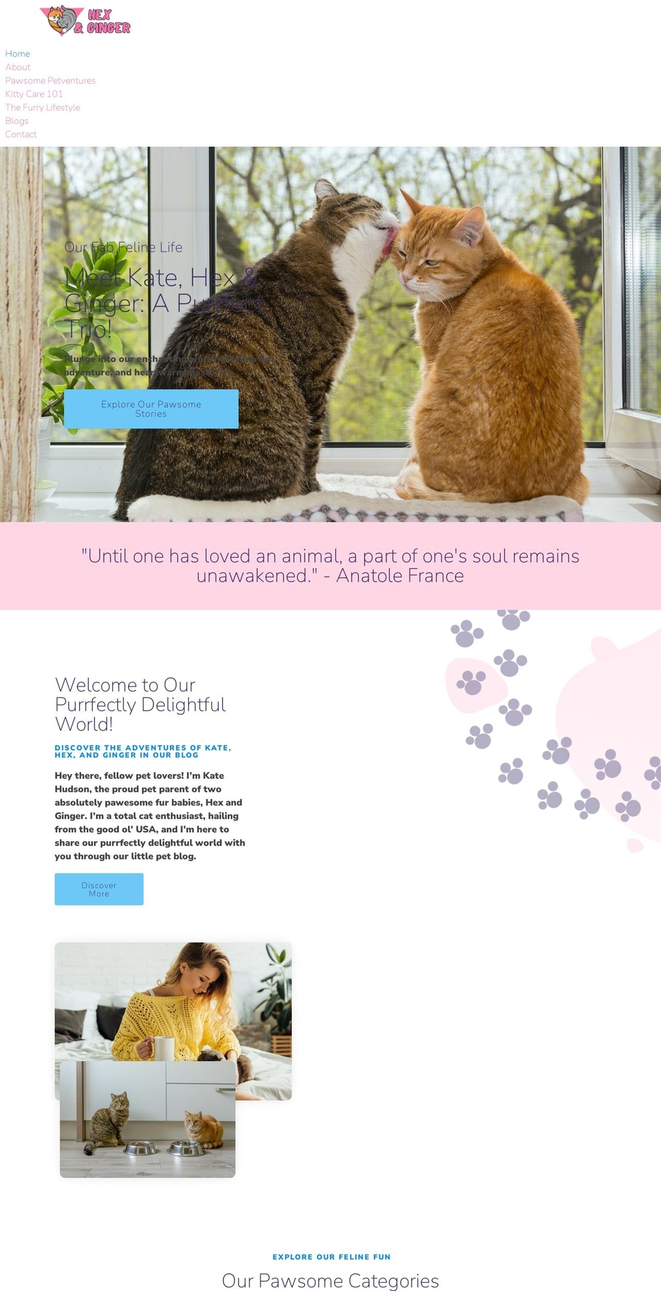 hexandginger.com — Shopify storefront screenshot