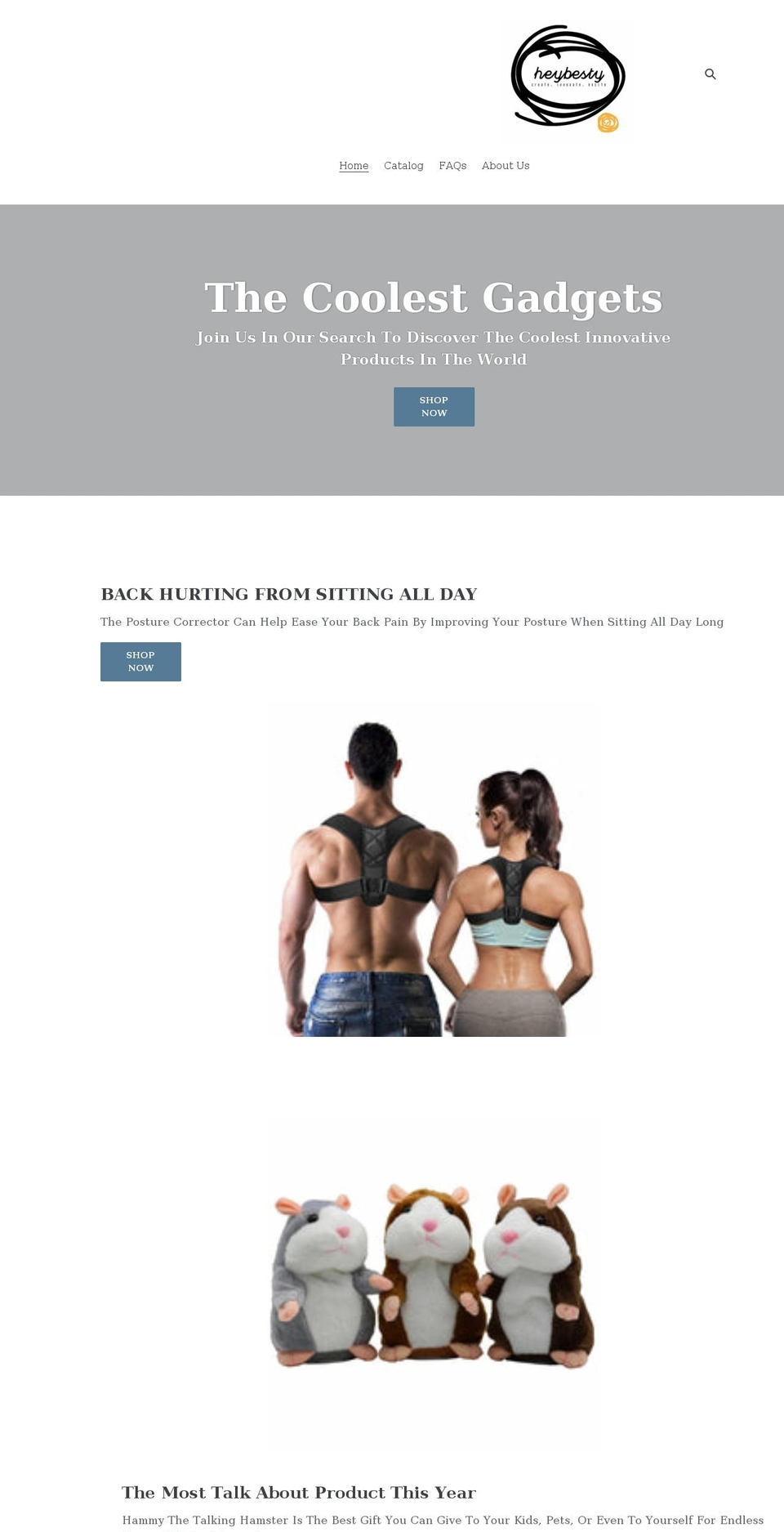 heybesty.com shopify website screenshot