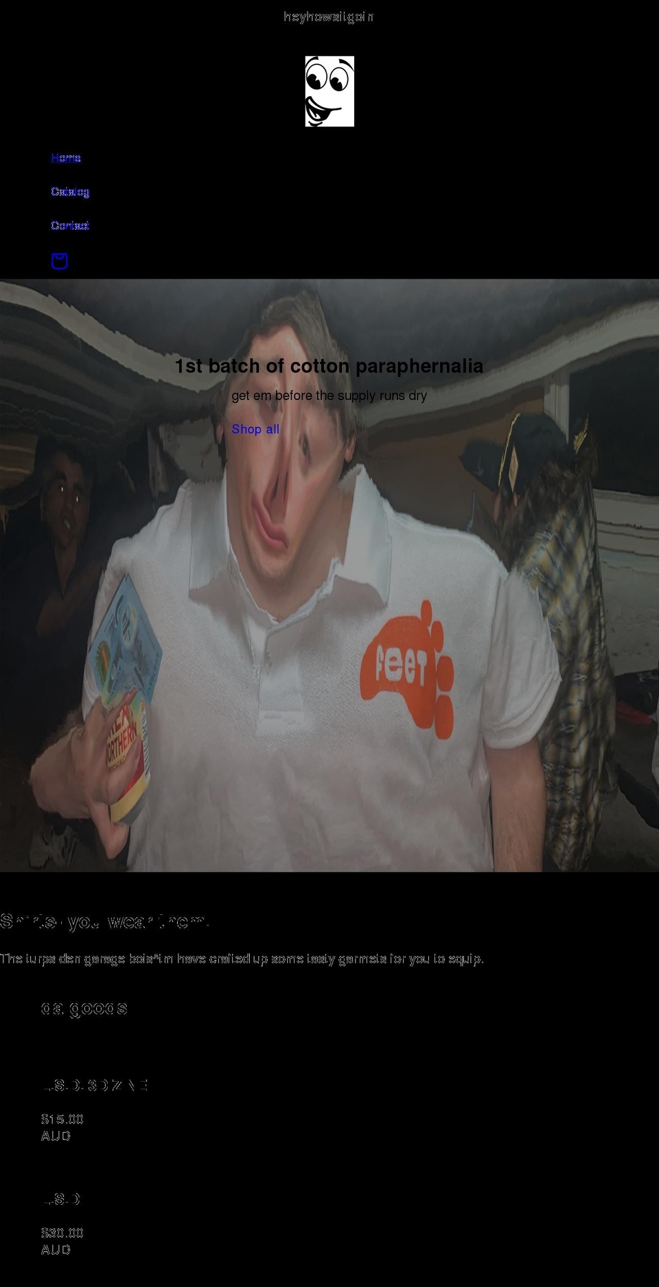 heyhowsitgoin.com shopify website screenshot