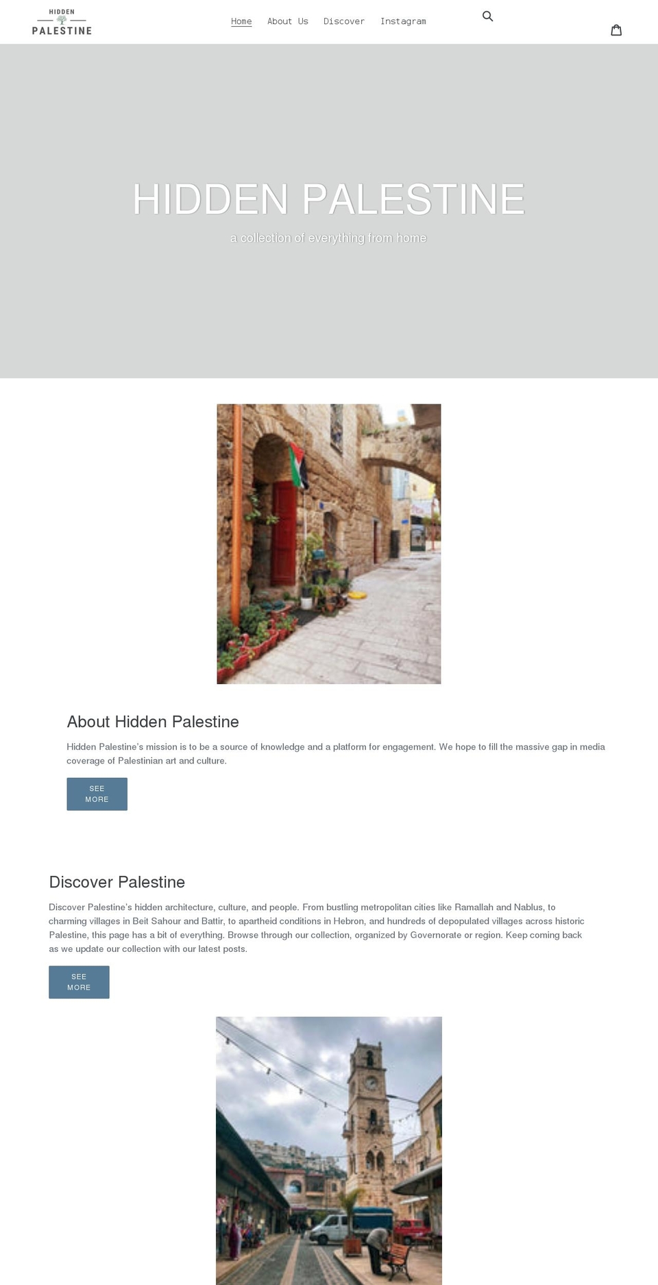 hiddenpalestine.com shopify website screenshot