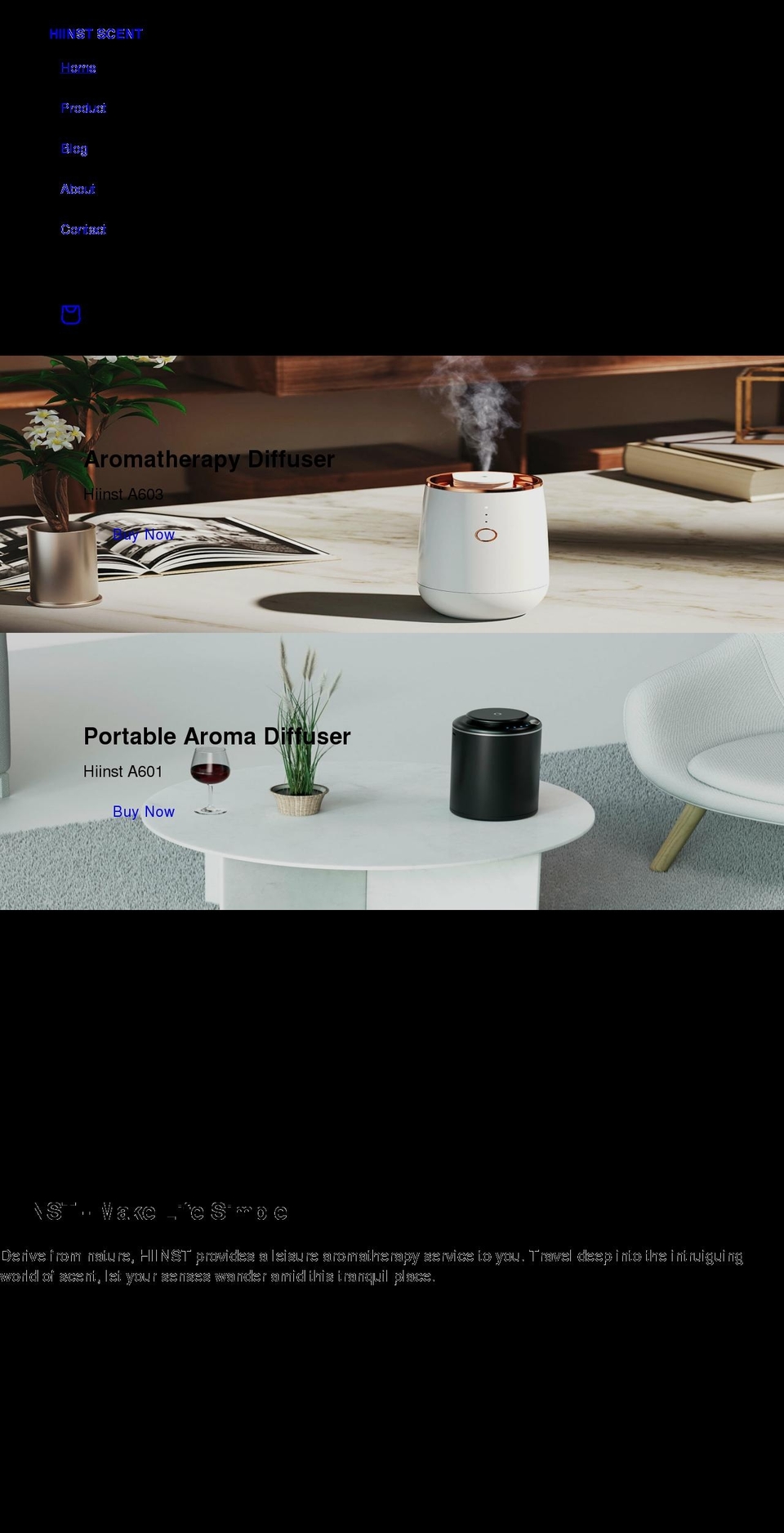 hiinst.com shopify website screenshot