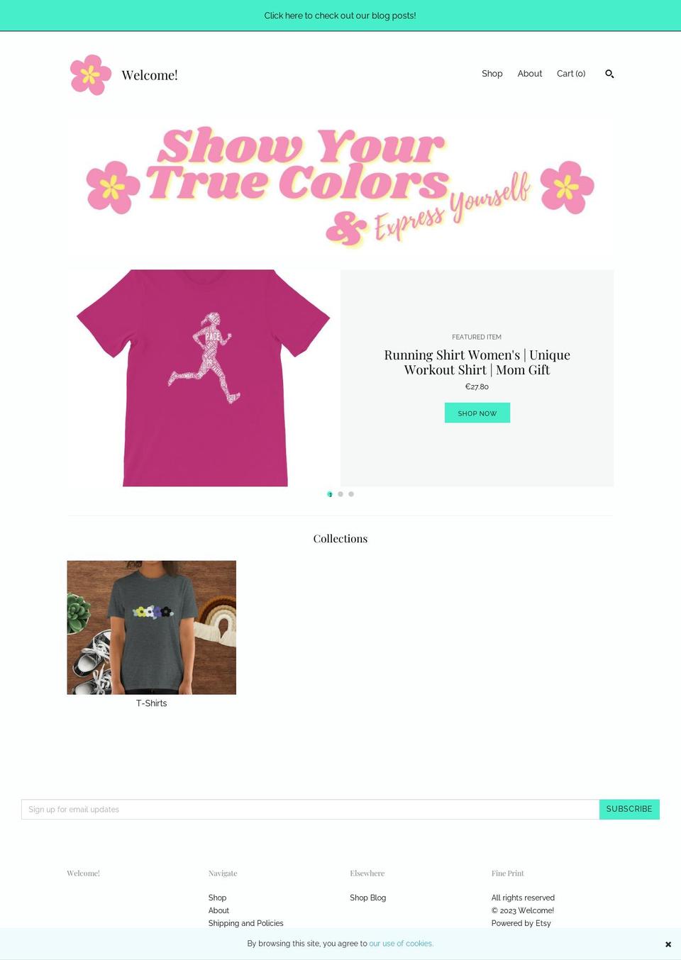 hippiechickrunningco.com — Shopify storefront screenshot