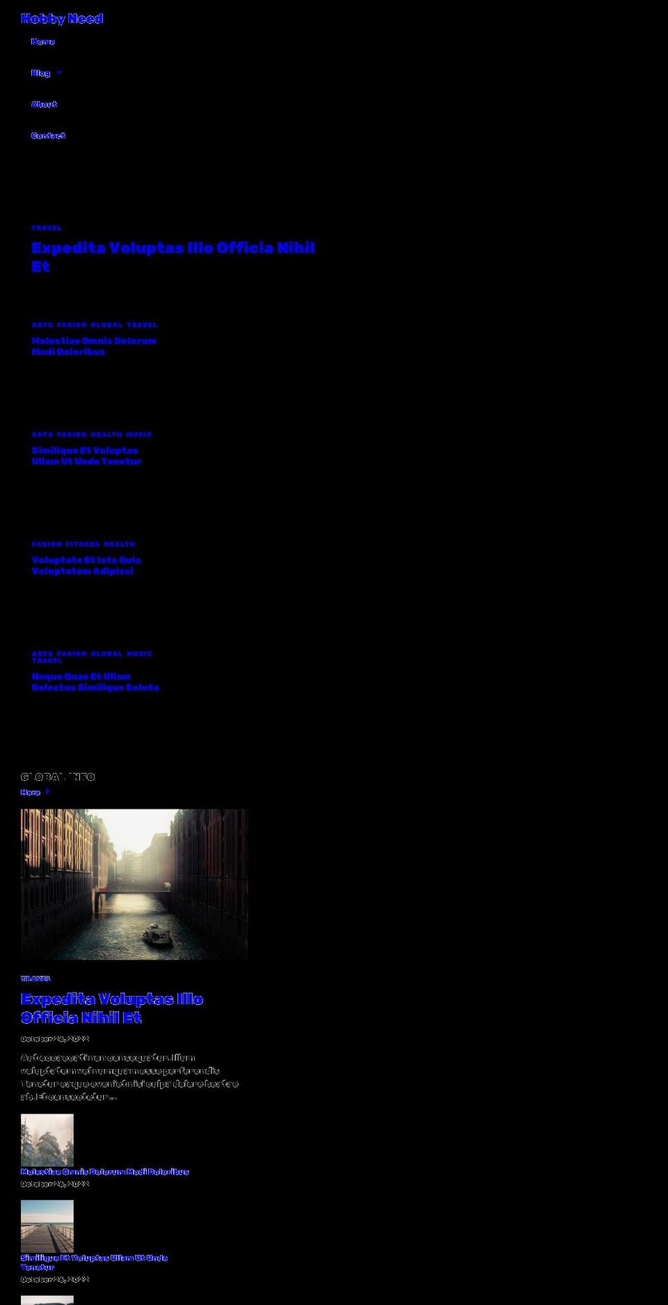 hobbyneed.com — Shopify storefront screenshot