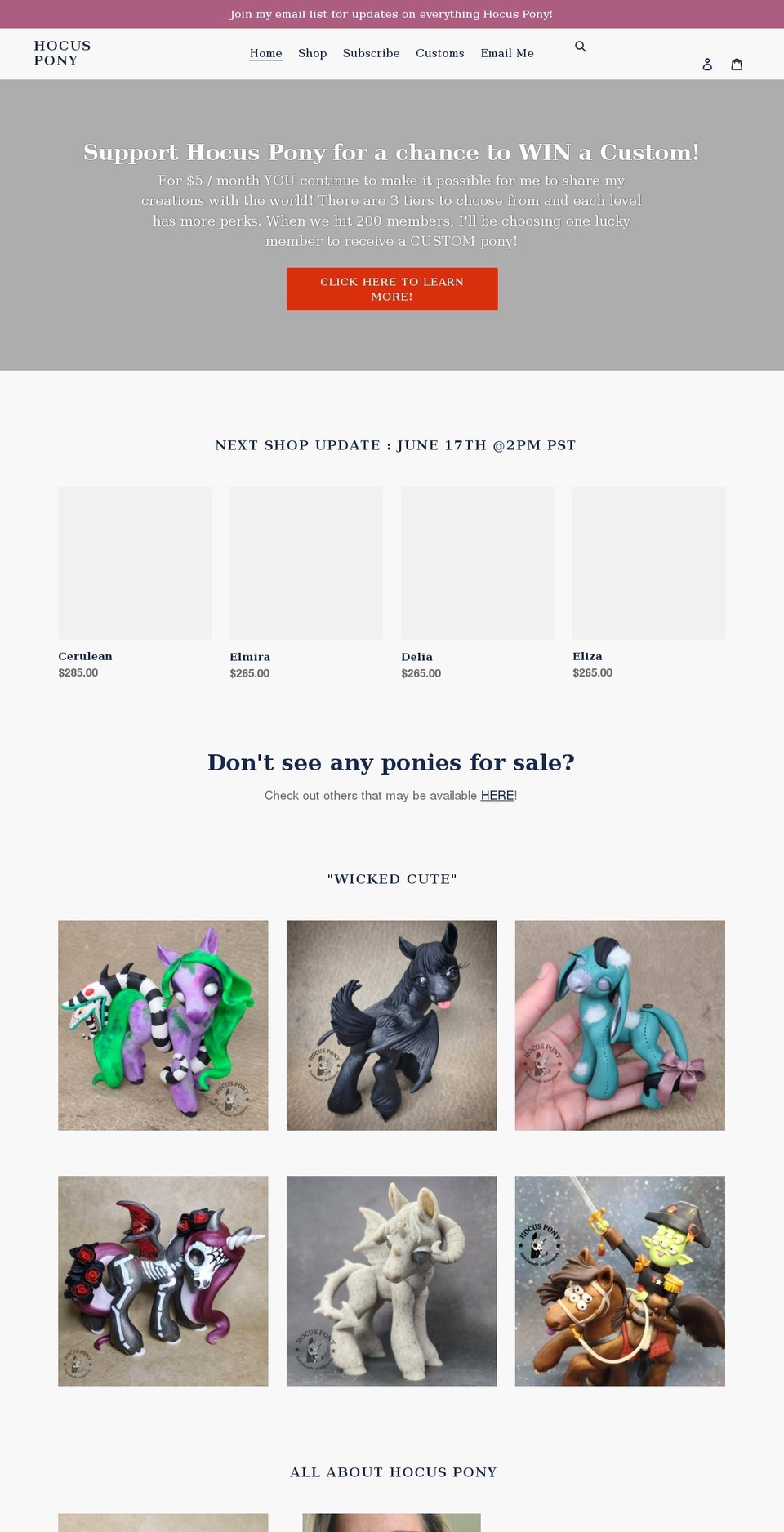 hocuspony.com shopify website screenshot