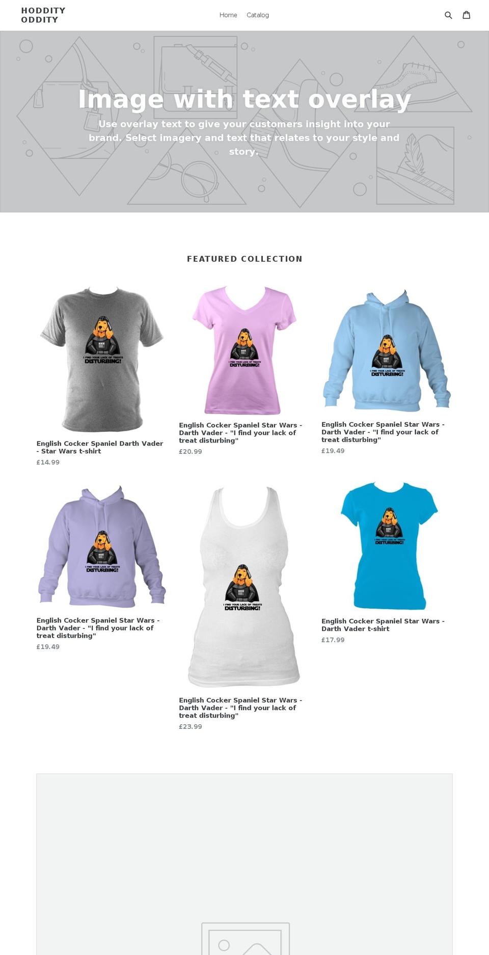 hoddity.com — Shopify storefront screenshot