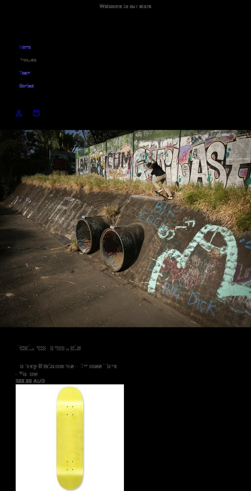 holidayskateboards.com shopify website screenshot