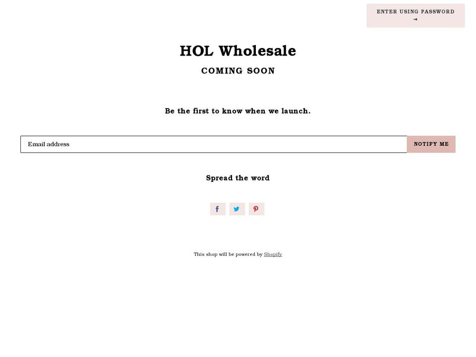 holwholesale.com — Shopify storefront screenshot
