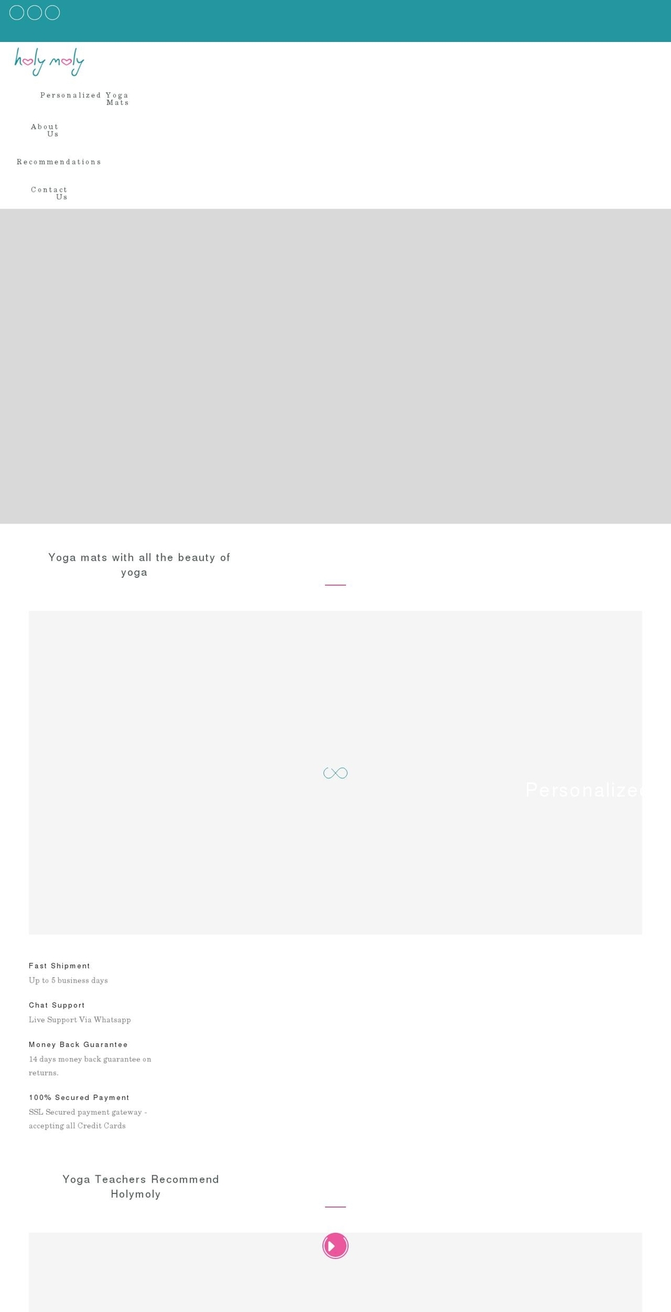 holymolydesigns.com shopify website screenshot