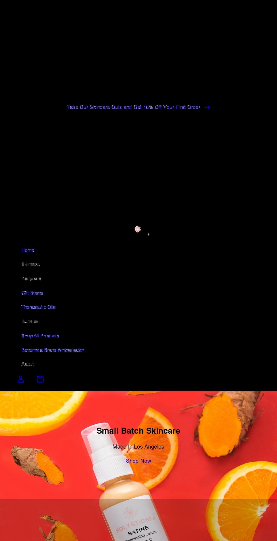 holysticspa.com shopify website screenshot