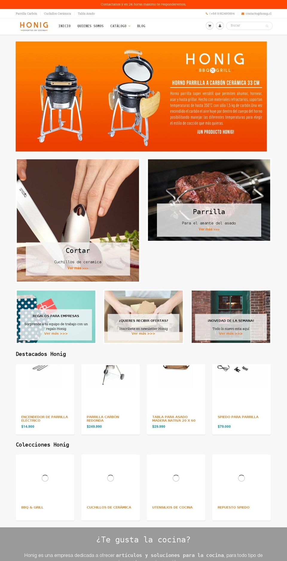 honig.cl shopify website screenshot