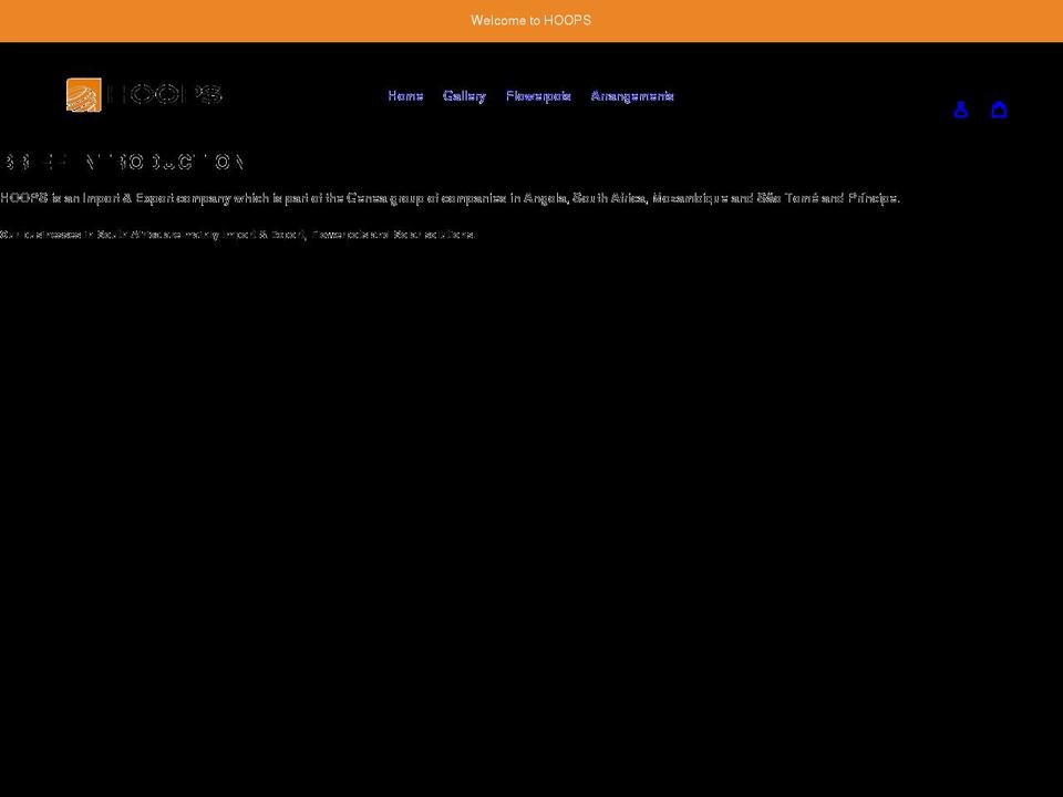 hoops.co.za shopify website screenshot