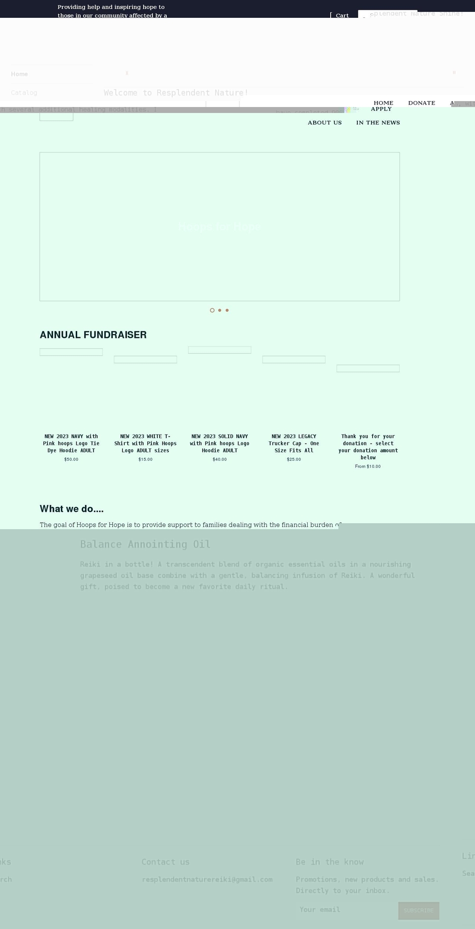 hoopsforhopemaine.com shopify website screenshot