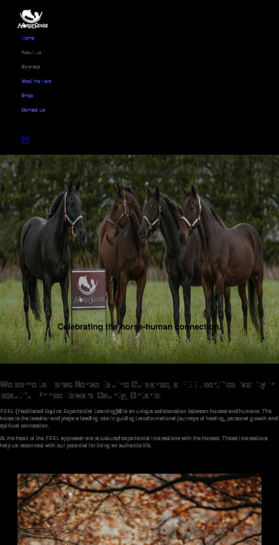 horse-sense.net shopify website screenshot