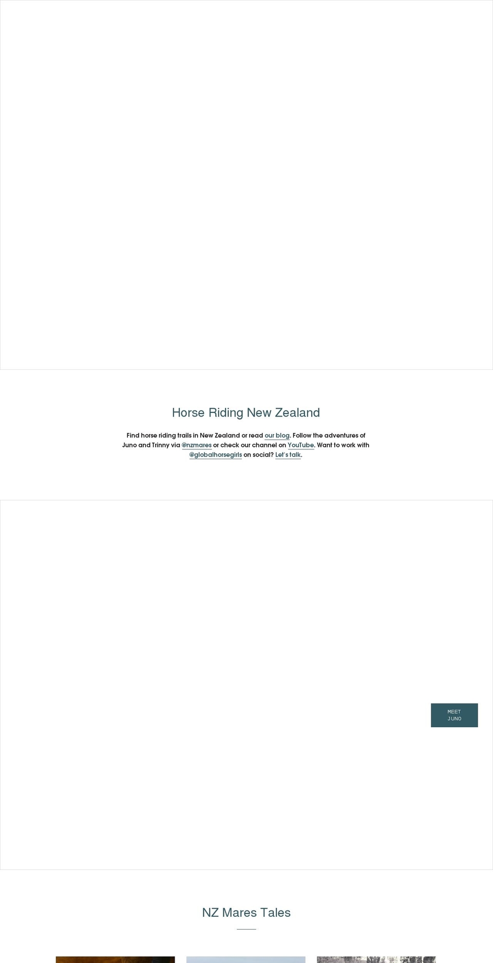 horseridingnewzealand.com shopify website screenshot