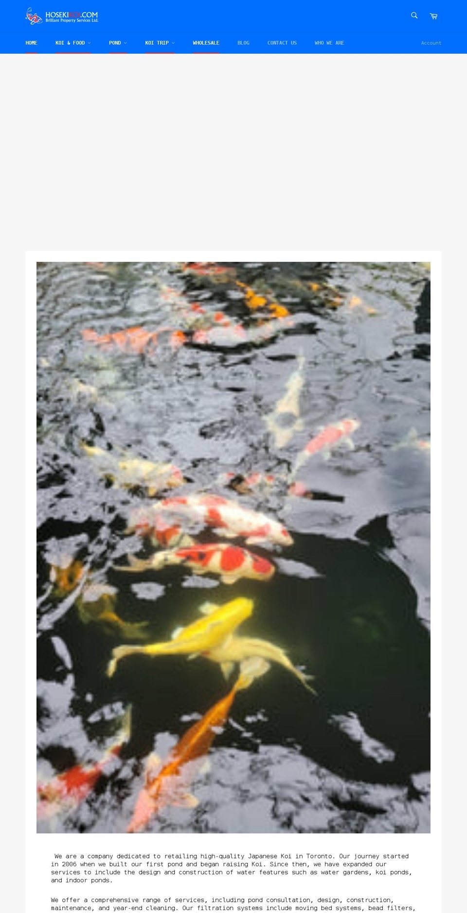 hosekikoi.com shopify website screenshot