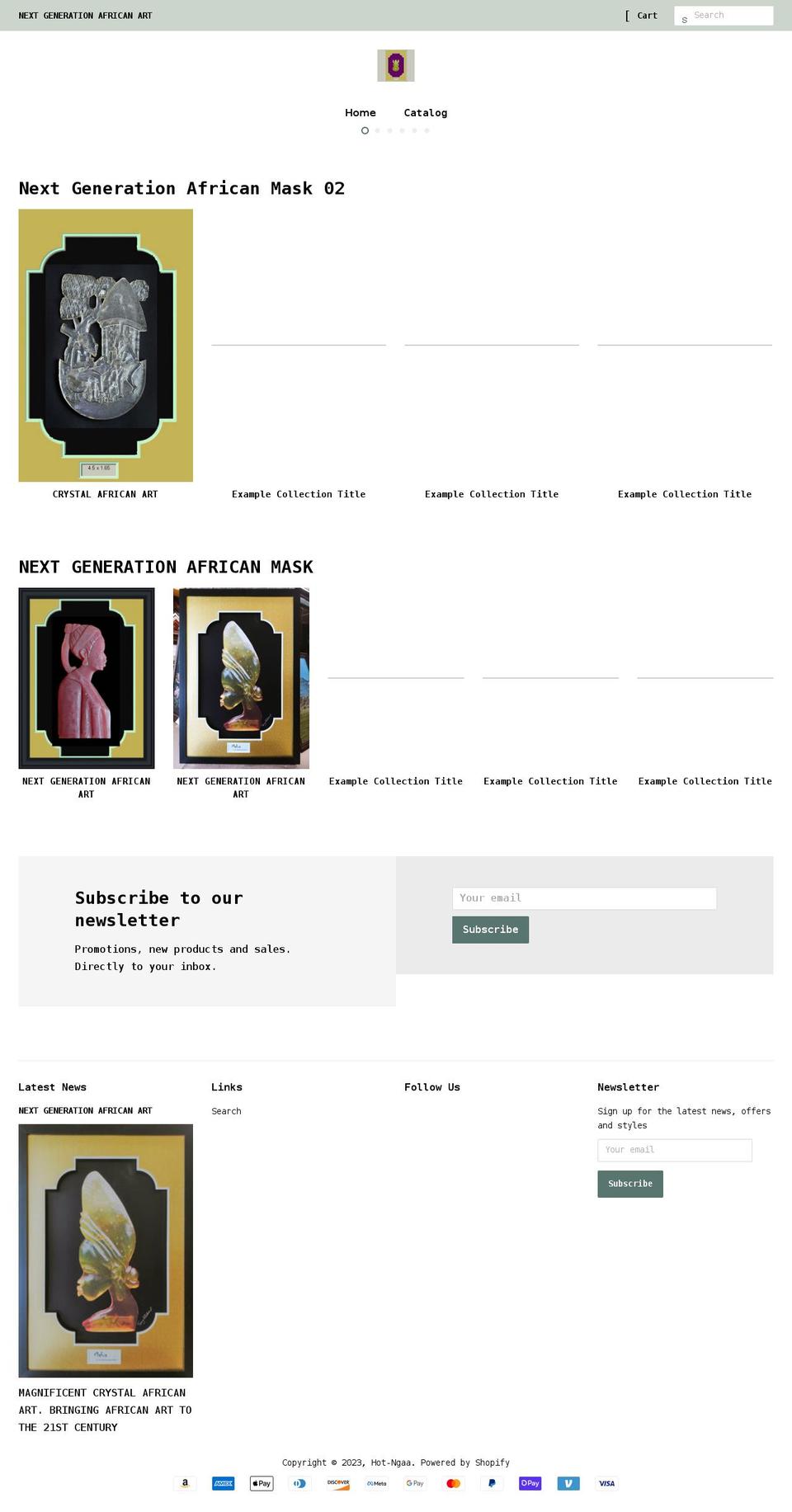 hot-ngaa.com shopify website screenshot