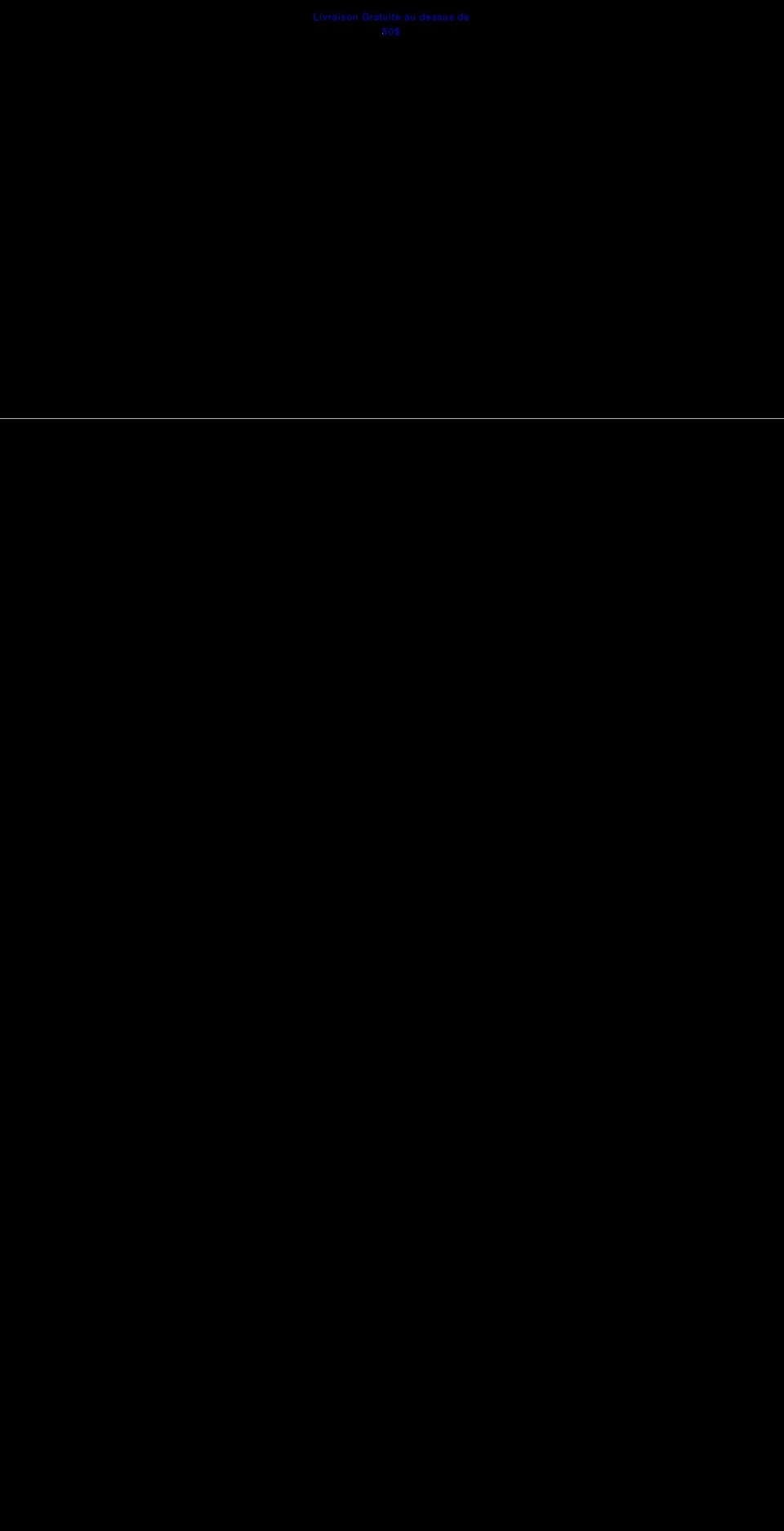 hoteantique.com shopify website screenshot