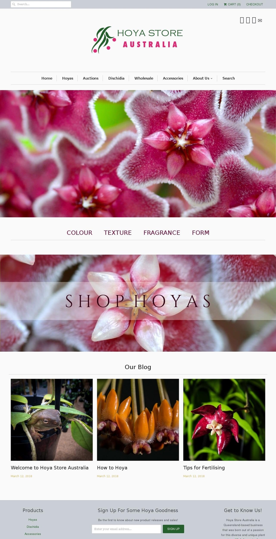 hoyastoreaustralia.com.au shopify website screenshot