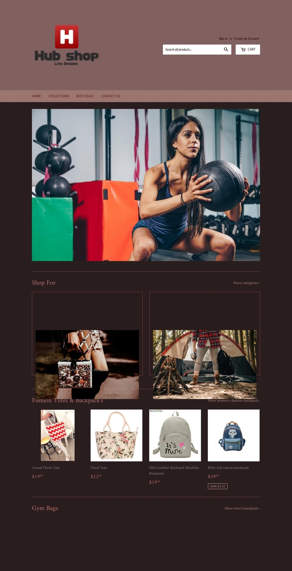 hubshopstore.com — Shopify storefront screenshot