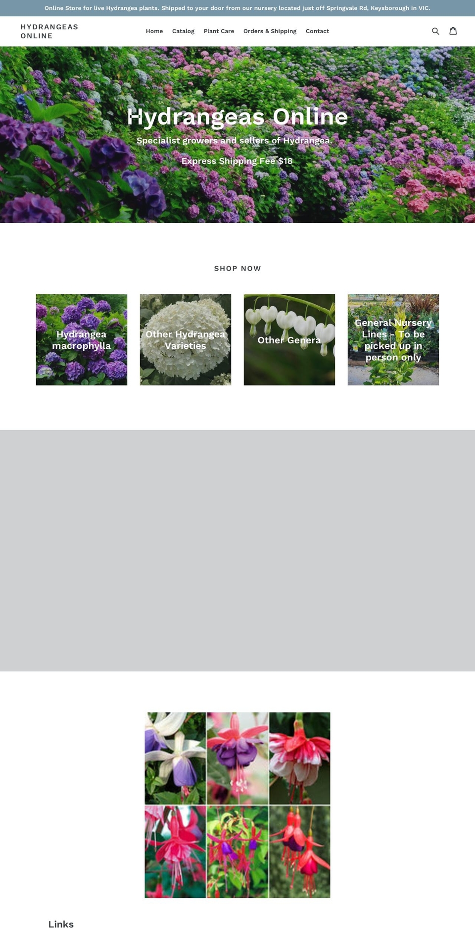 hydrangeasonline.com.au shopify website screenshot