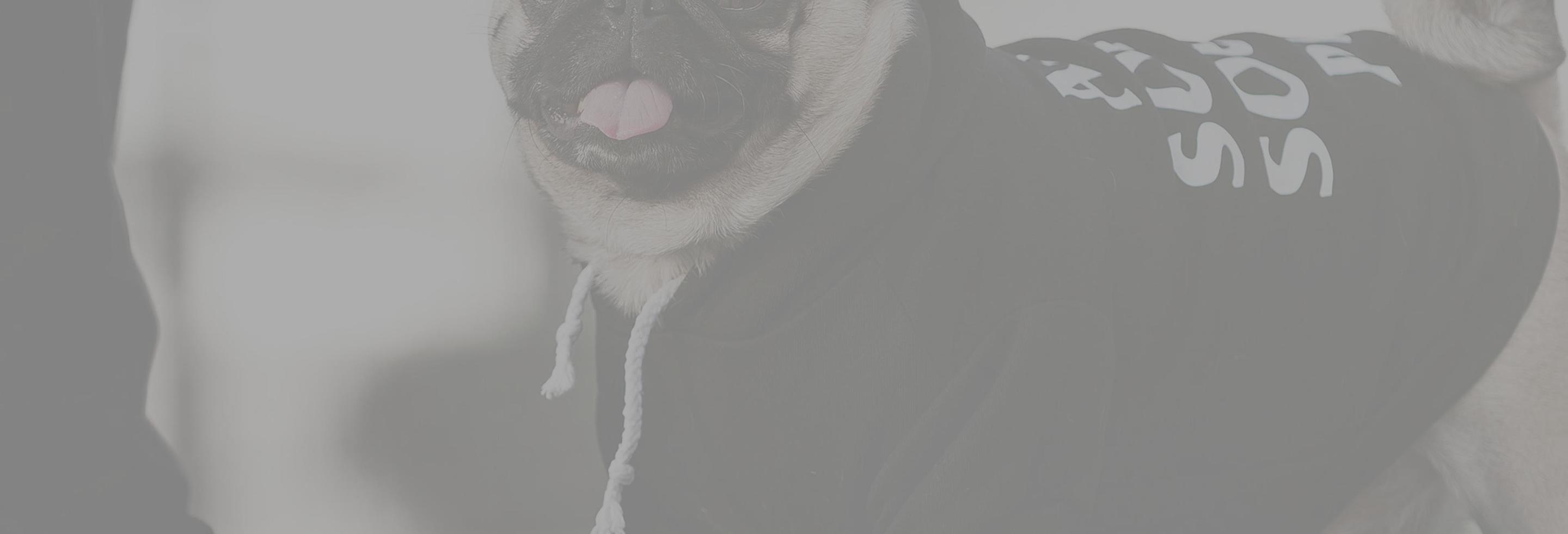 hypepets.com — Shopify storefront screenshot