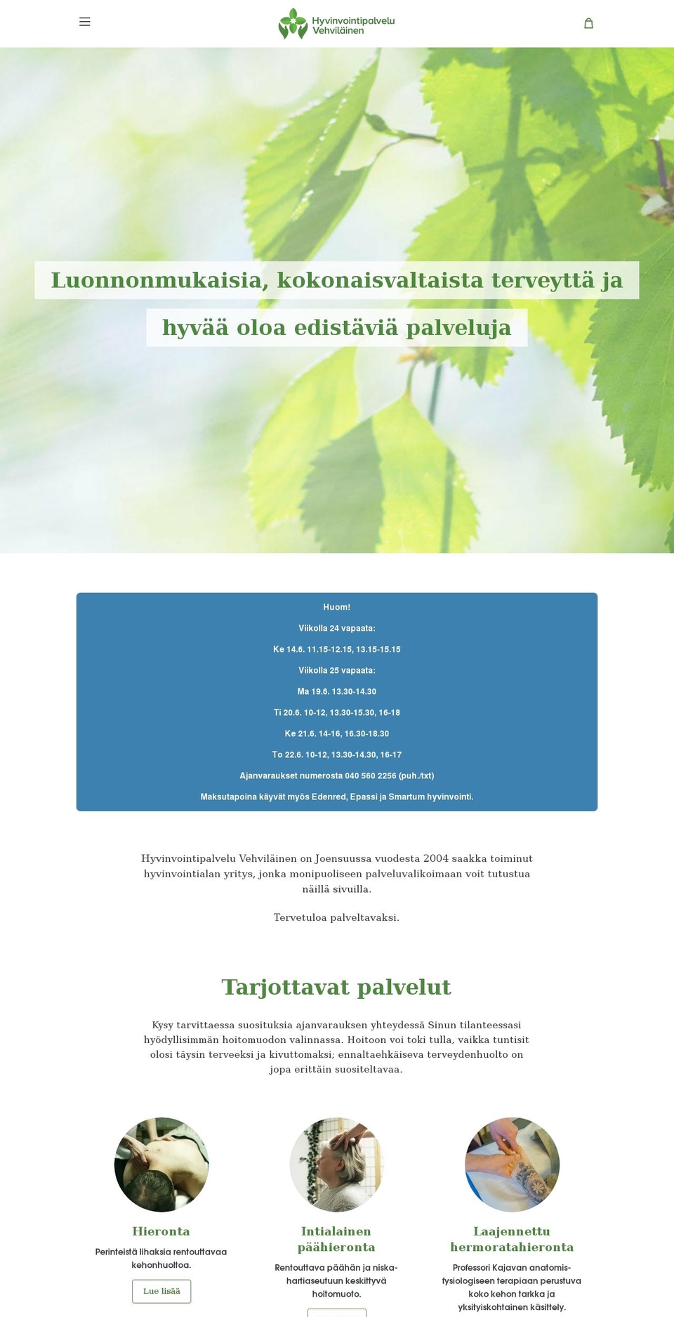 hyvinvointivehvilainen.fi shopify website screenshot