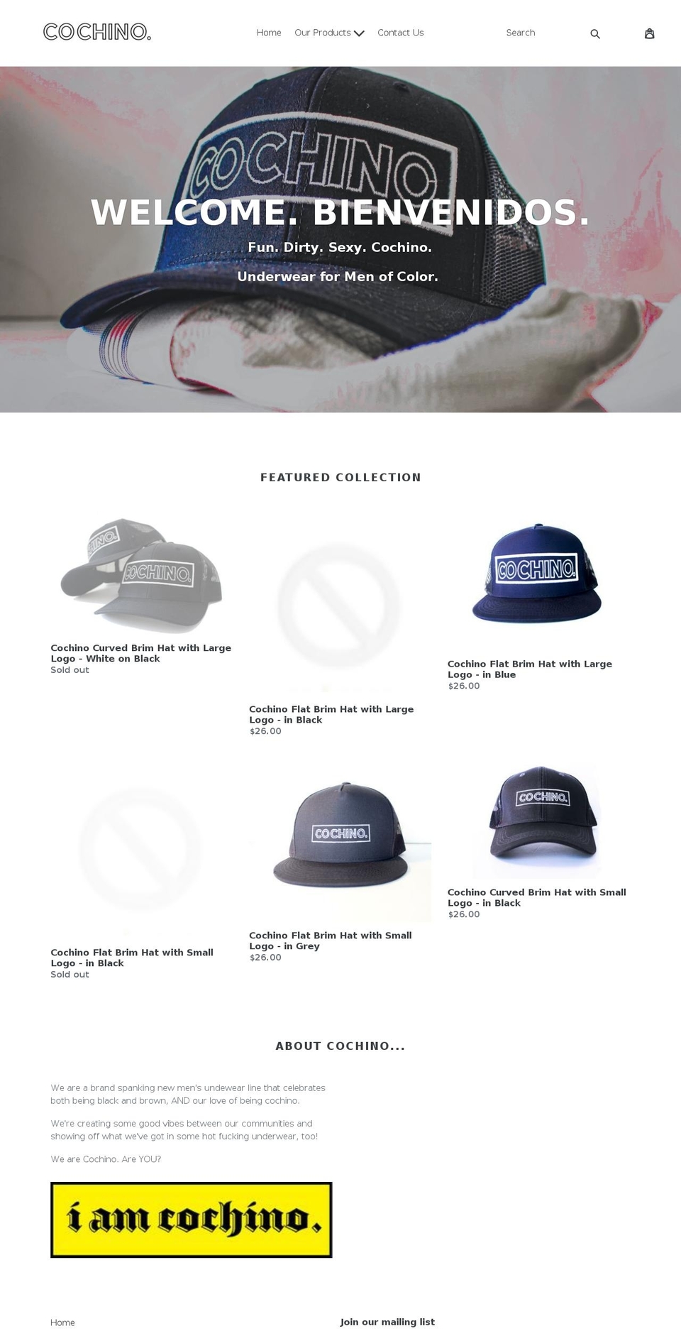 iamcochino.com shopify website screenshot