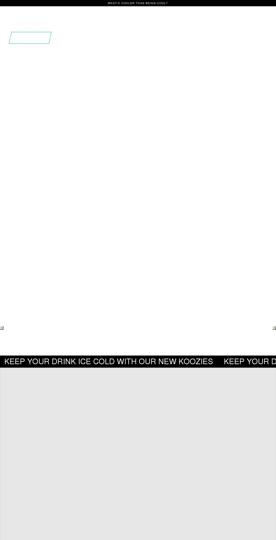 icecoldusa.com shopify website screenshot
