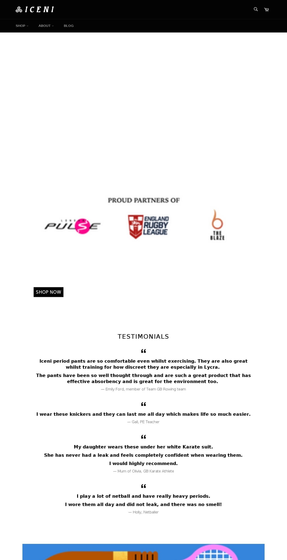 icenisilver.com shopify website screenshot