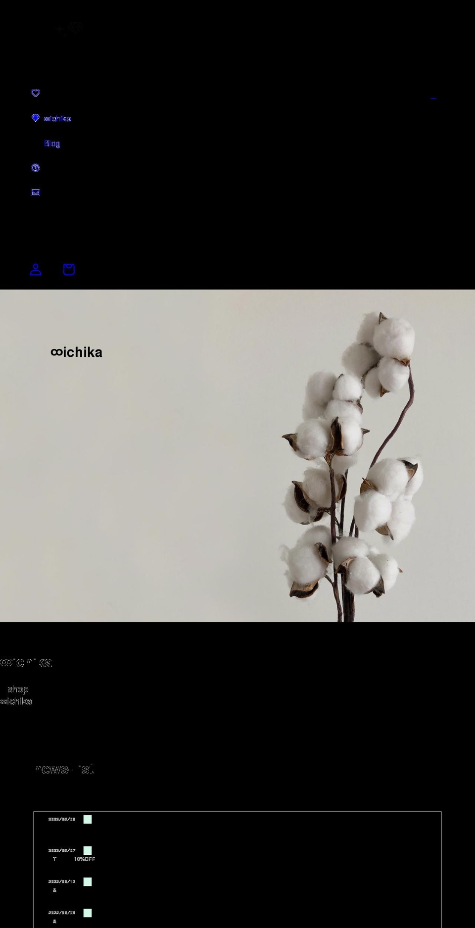 ichika2009.com shopify website screenshot