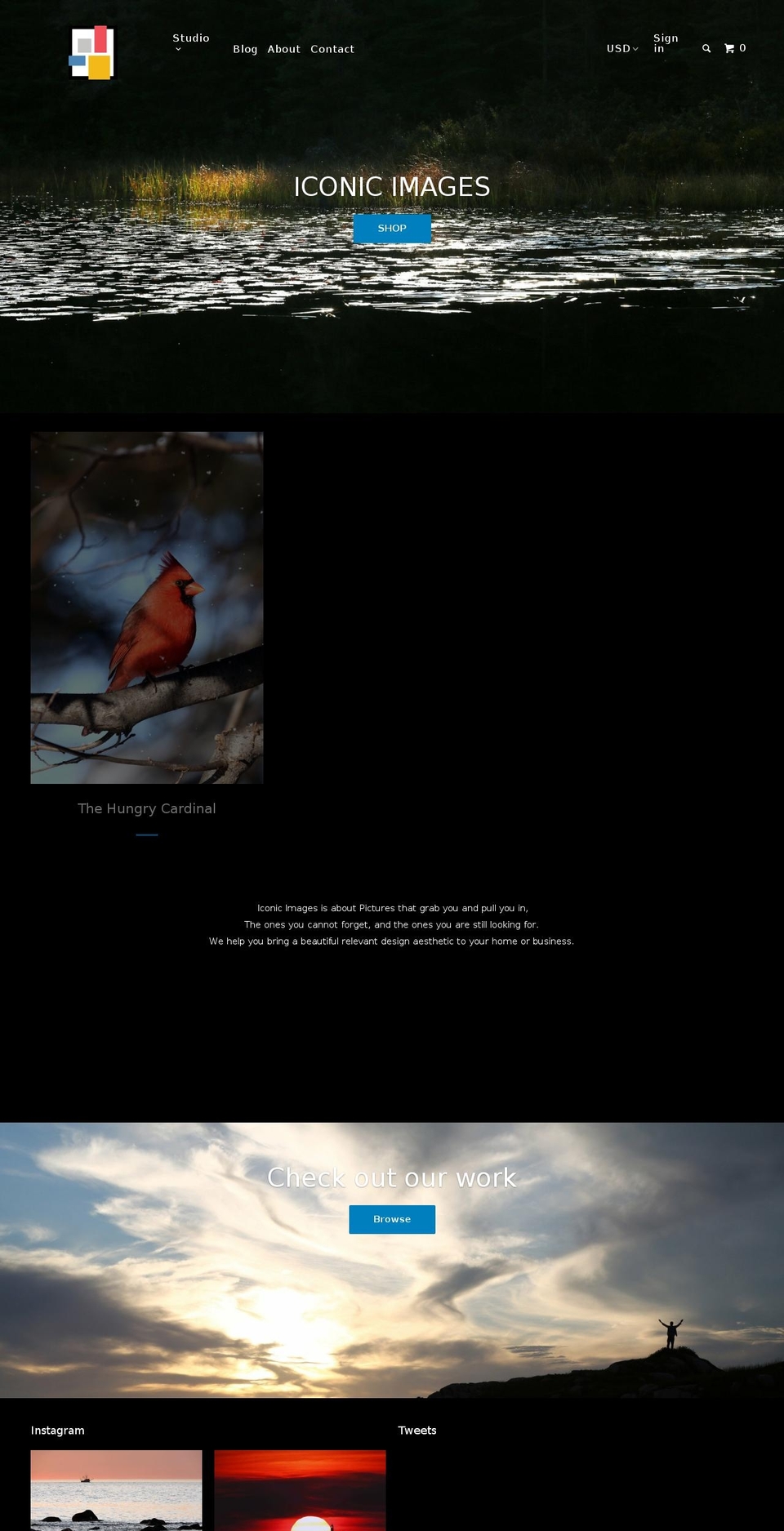 iconicimagesdesign.com shopify website screenshot