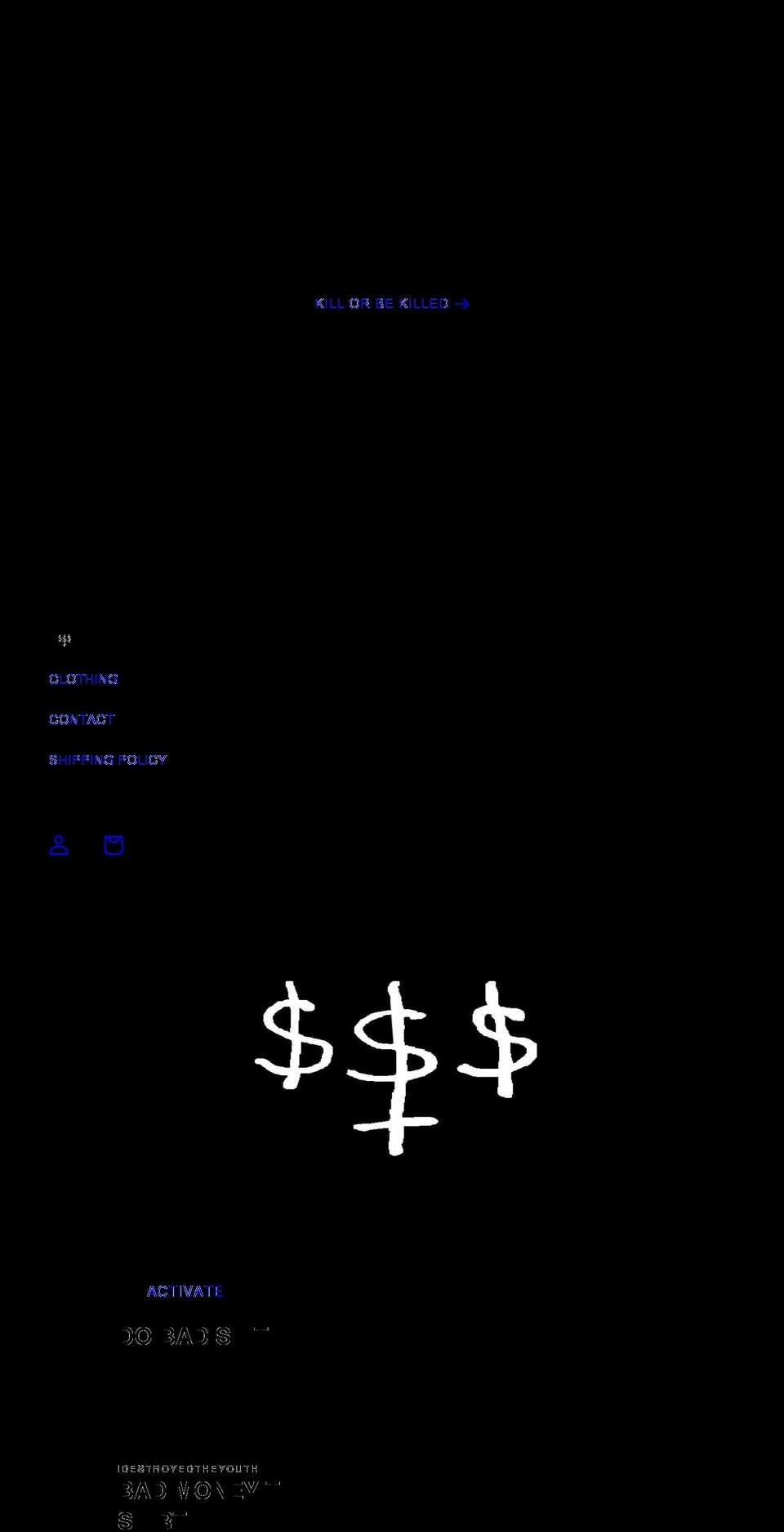 idestroyedtheyouth.com shopify website screenshot