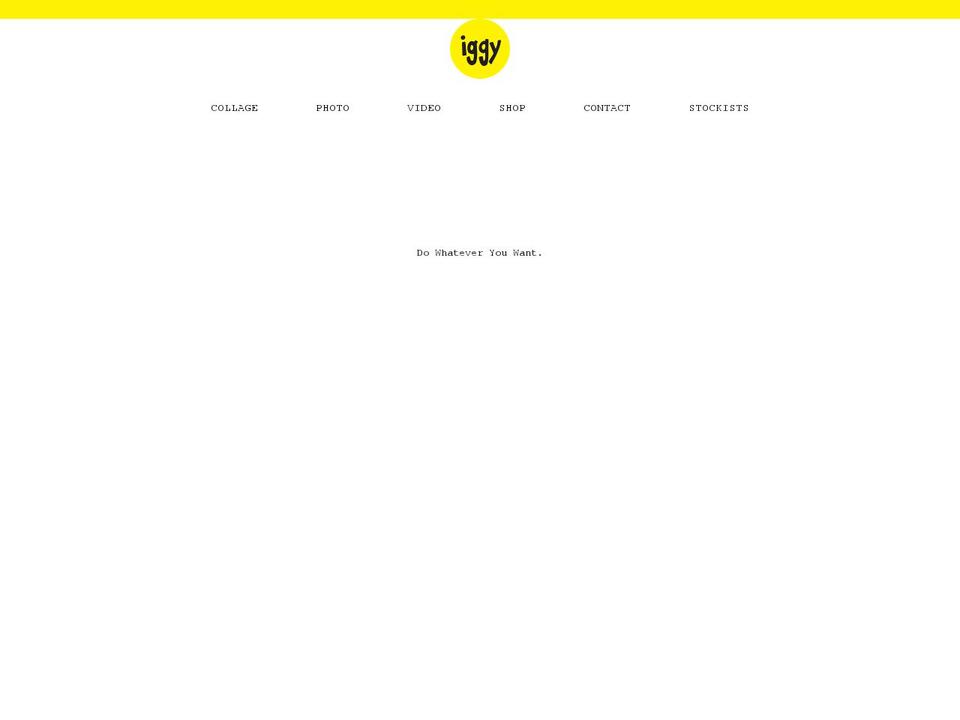 iggy.nyc shopify website screenshot