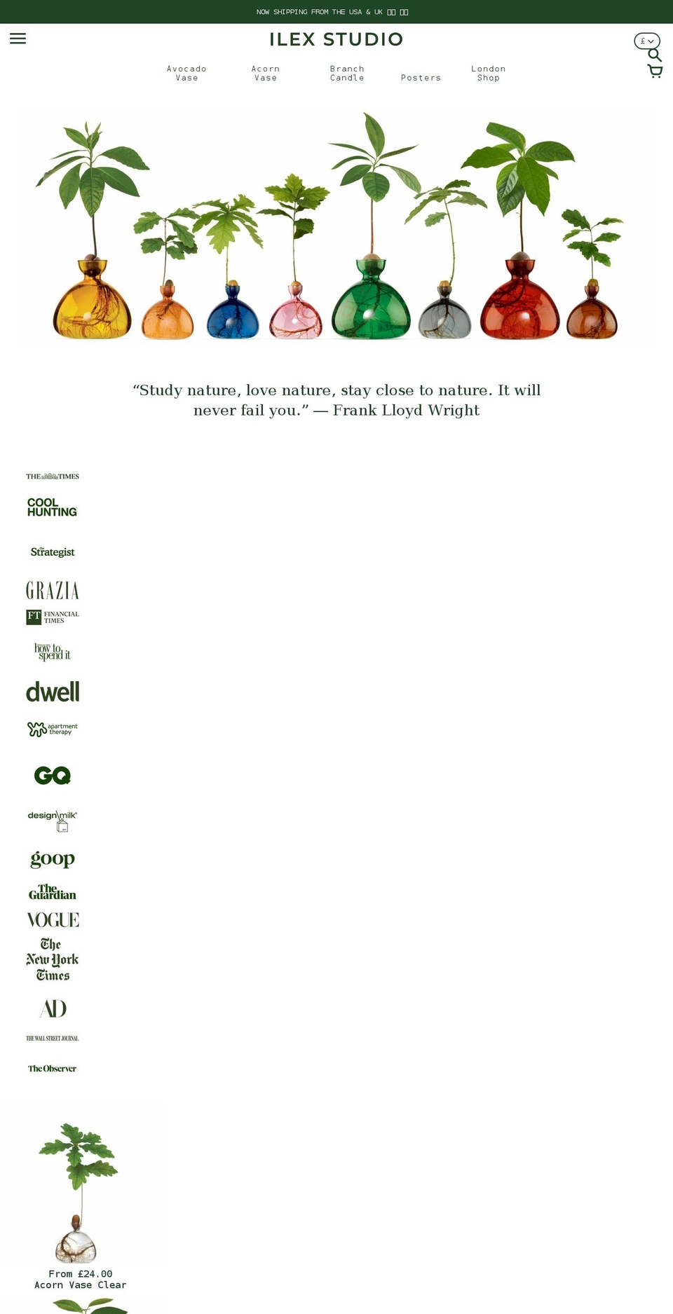 ilexstudio.com shopify website screenshot
